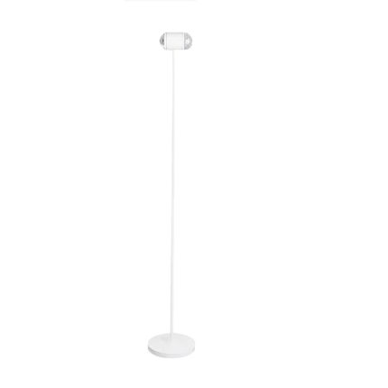 Ambient Floor Lamp