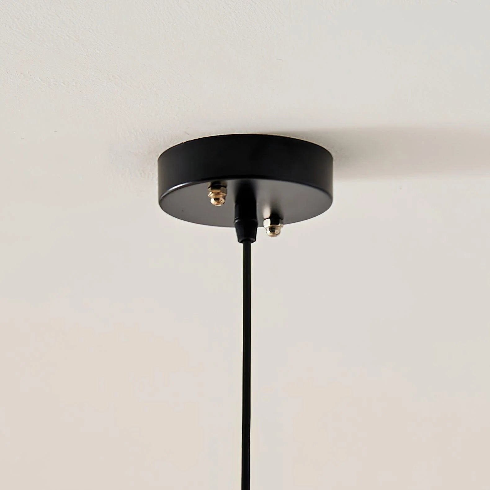 Banana_Leaf_Pendant_Lamp_25