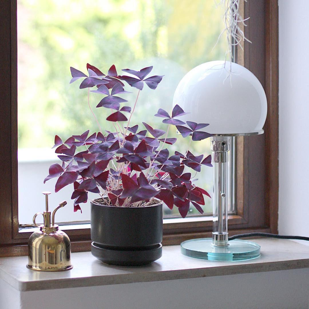 Bauhaus_Table_Lamp_9