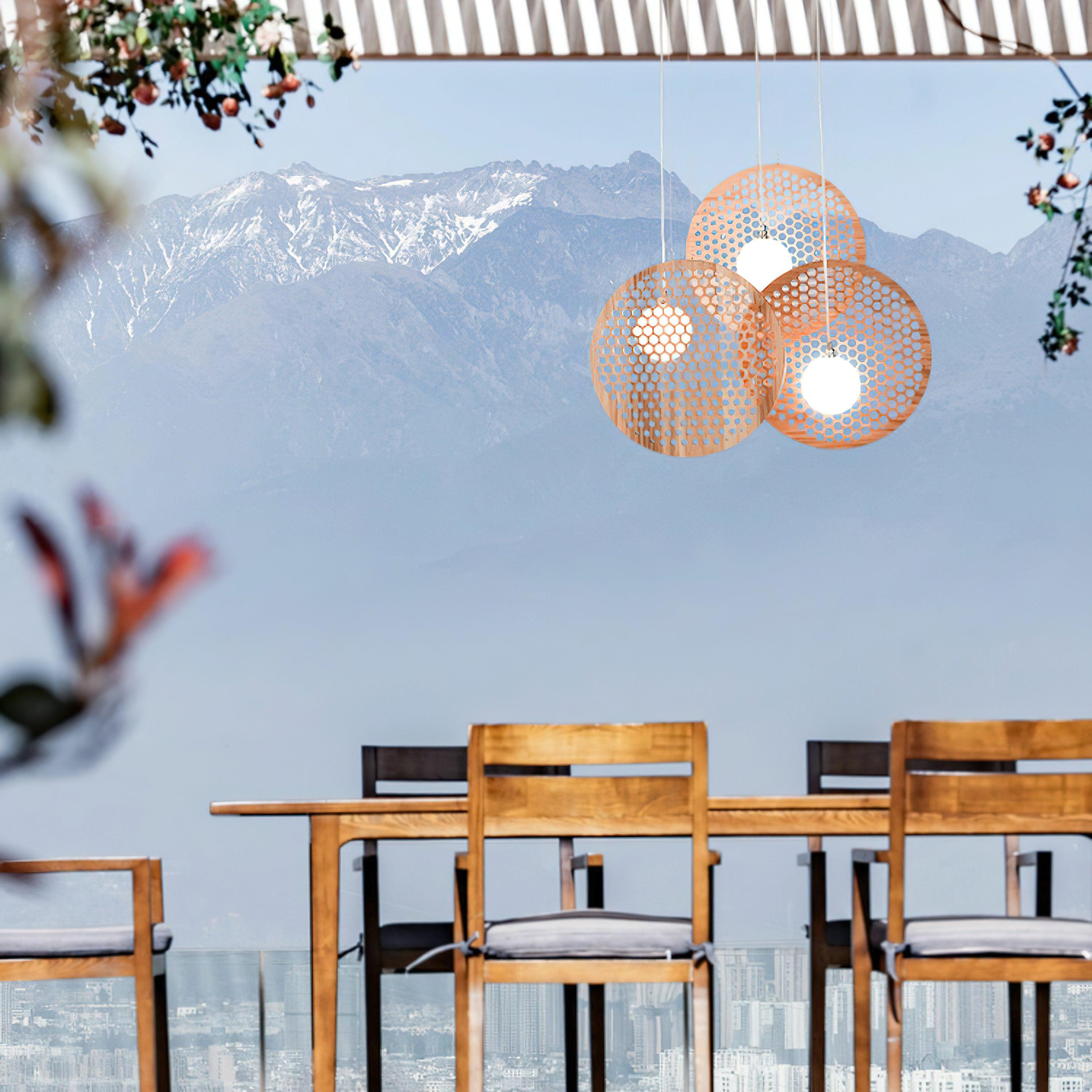 Bee_Plate_Chandelier_9