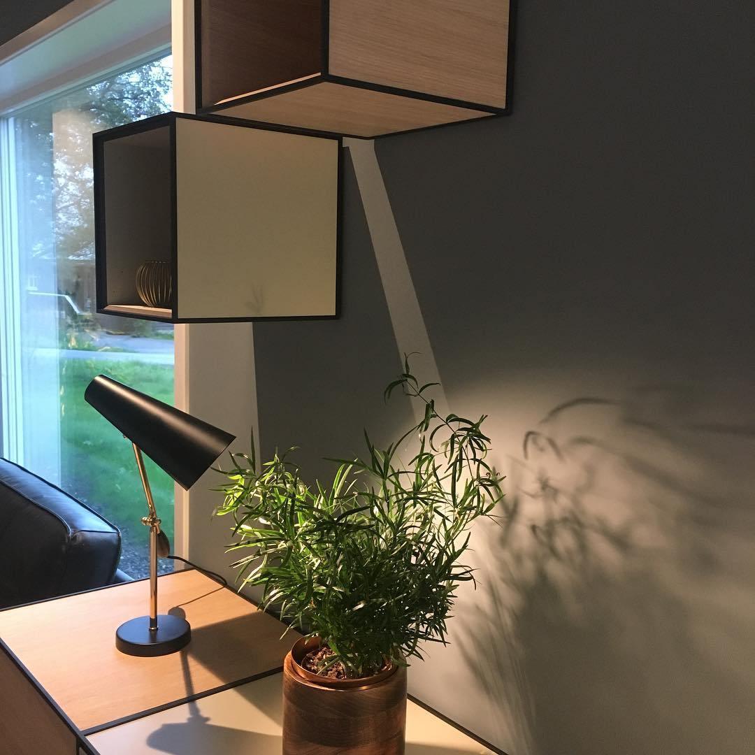 Birdy_Table_Lamp_50