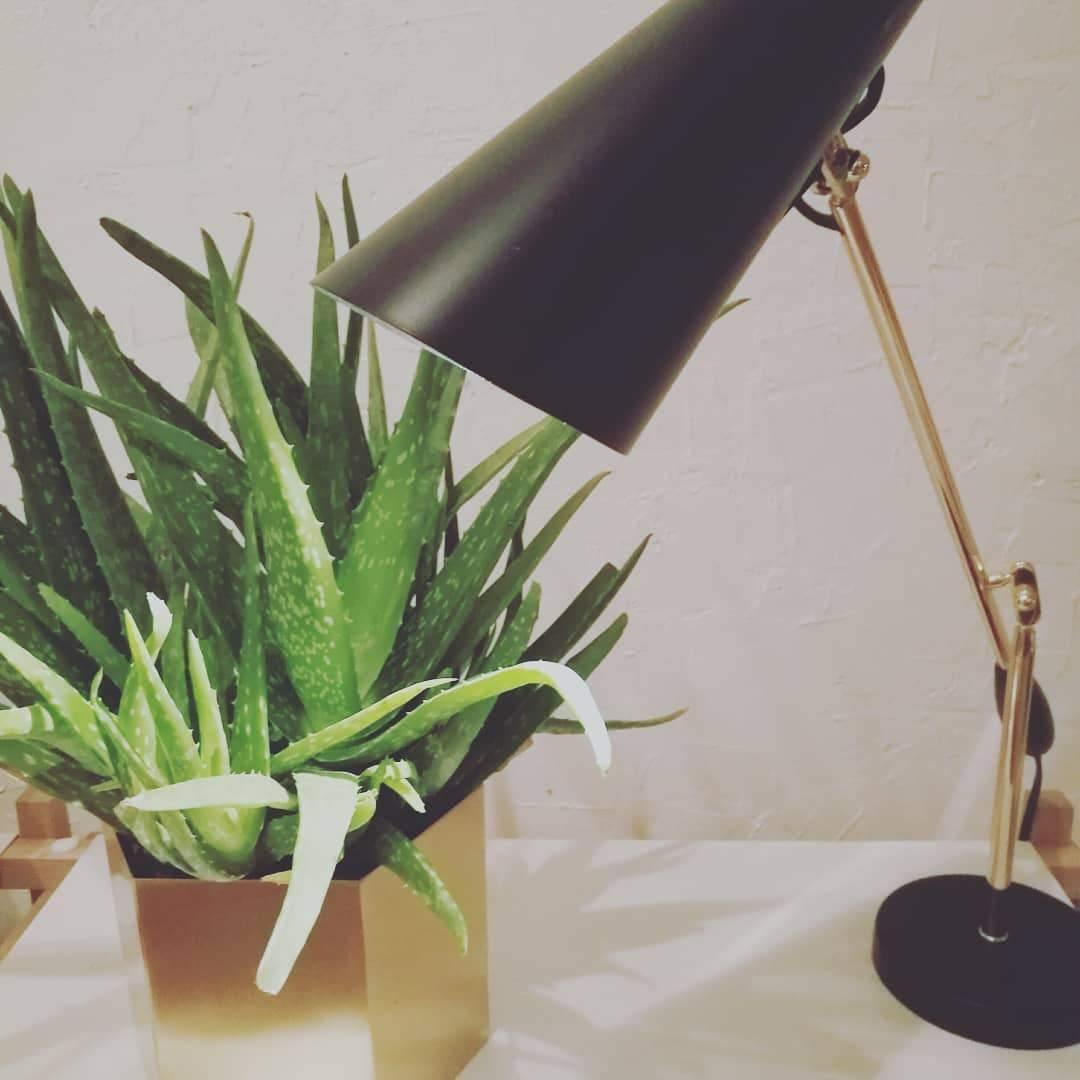 Birdy_Table_Lamp_53