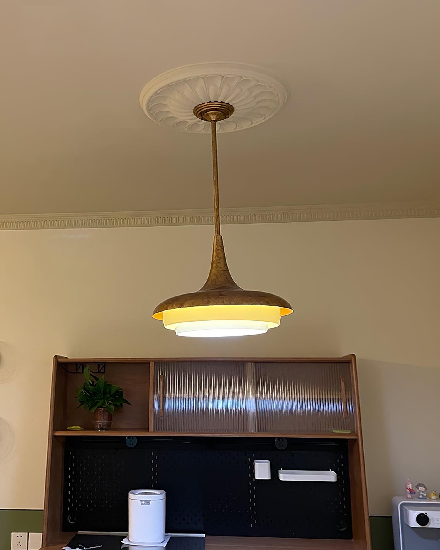 Calyx_Pendant_Light_28