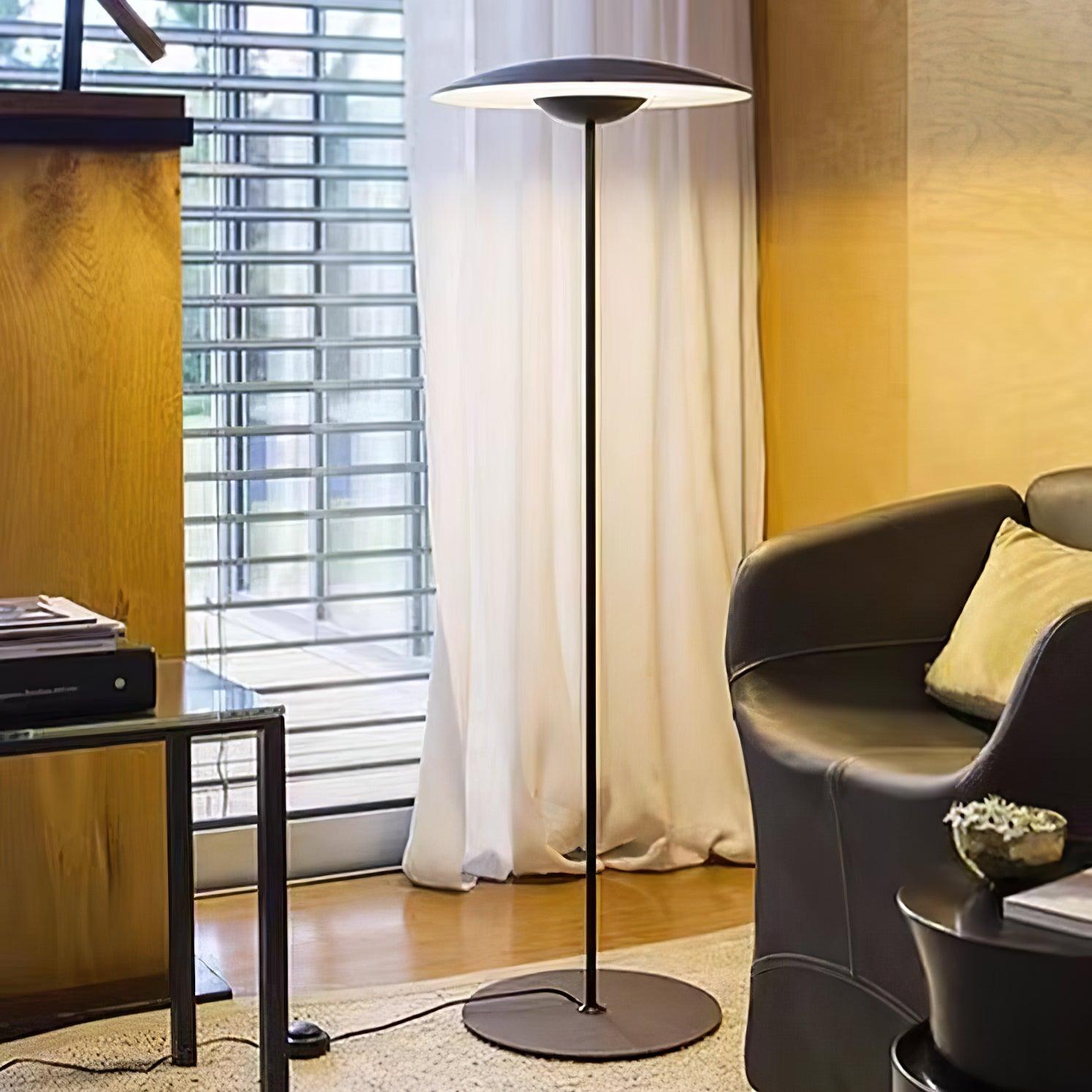 Directional_Floor_Lamp_1