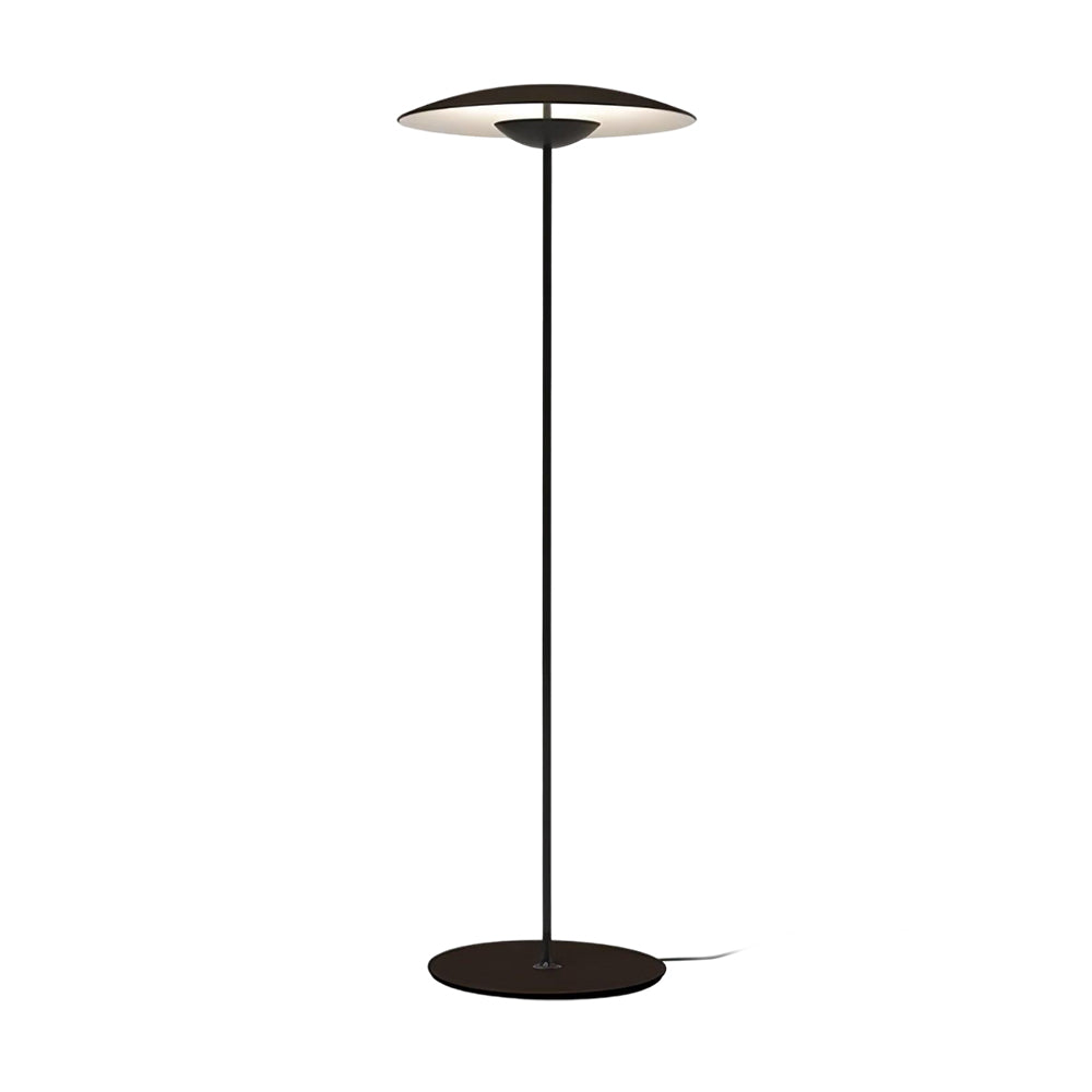 Directional_Floor_Lamp_22
