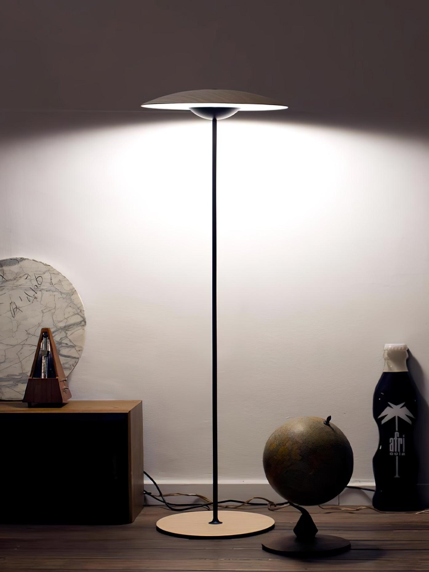 Directional_Floor_Lamp_6