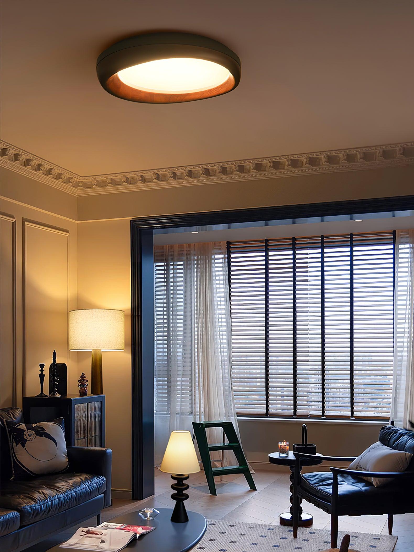 Dome_Ceiling_Light_1
