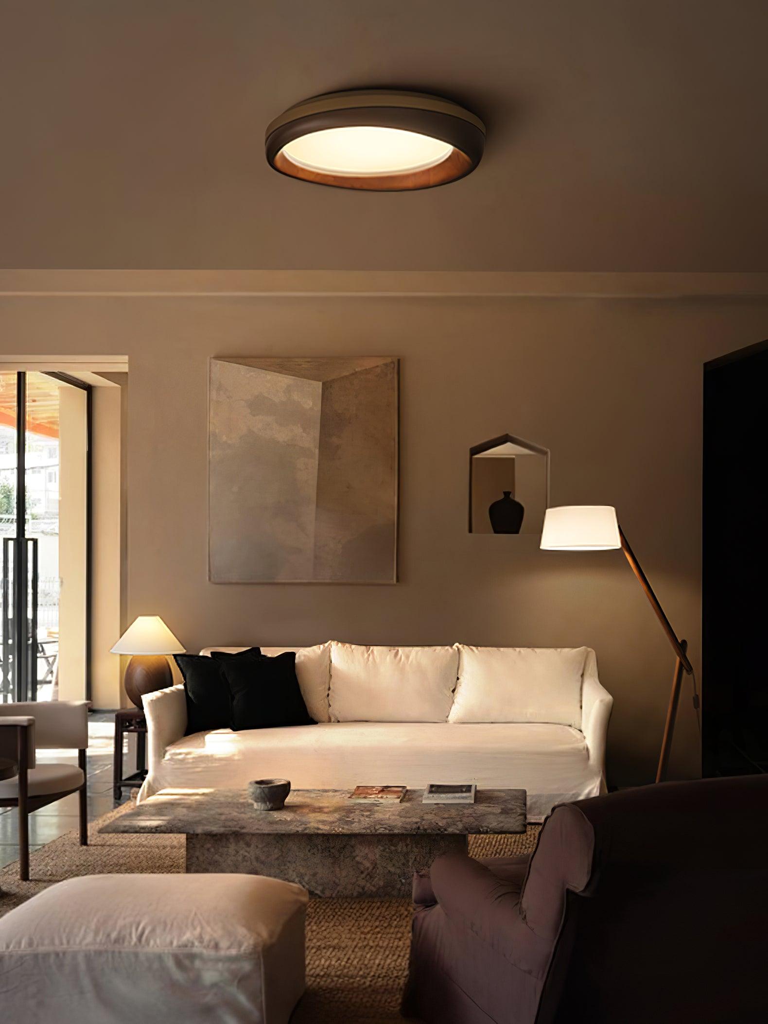 Dome_Ceiling_Light_10