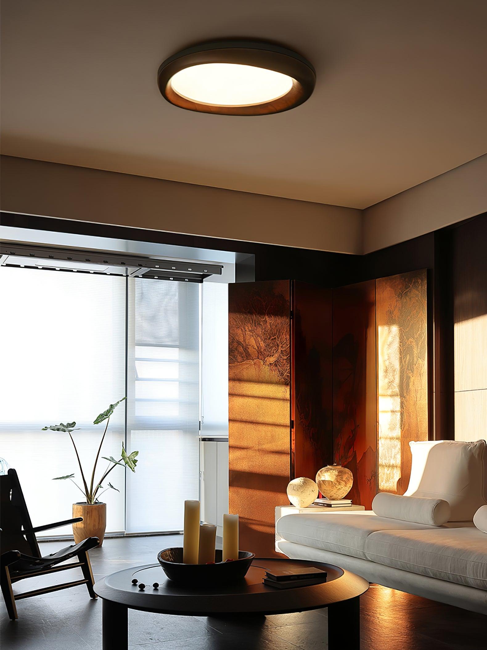 Dome_Ceiling_Light_11