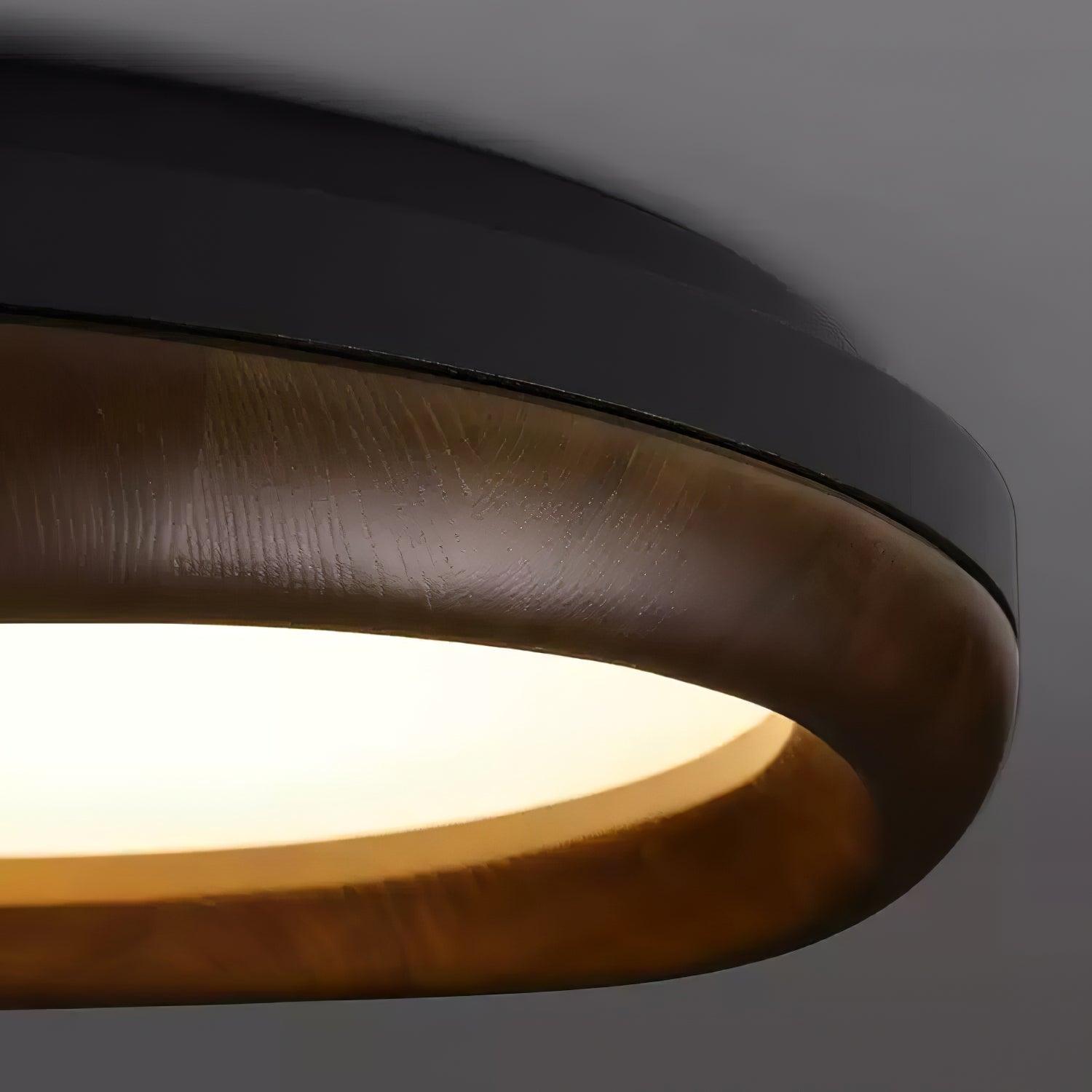 Dome_Ceiling_Light_12