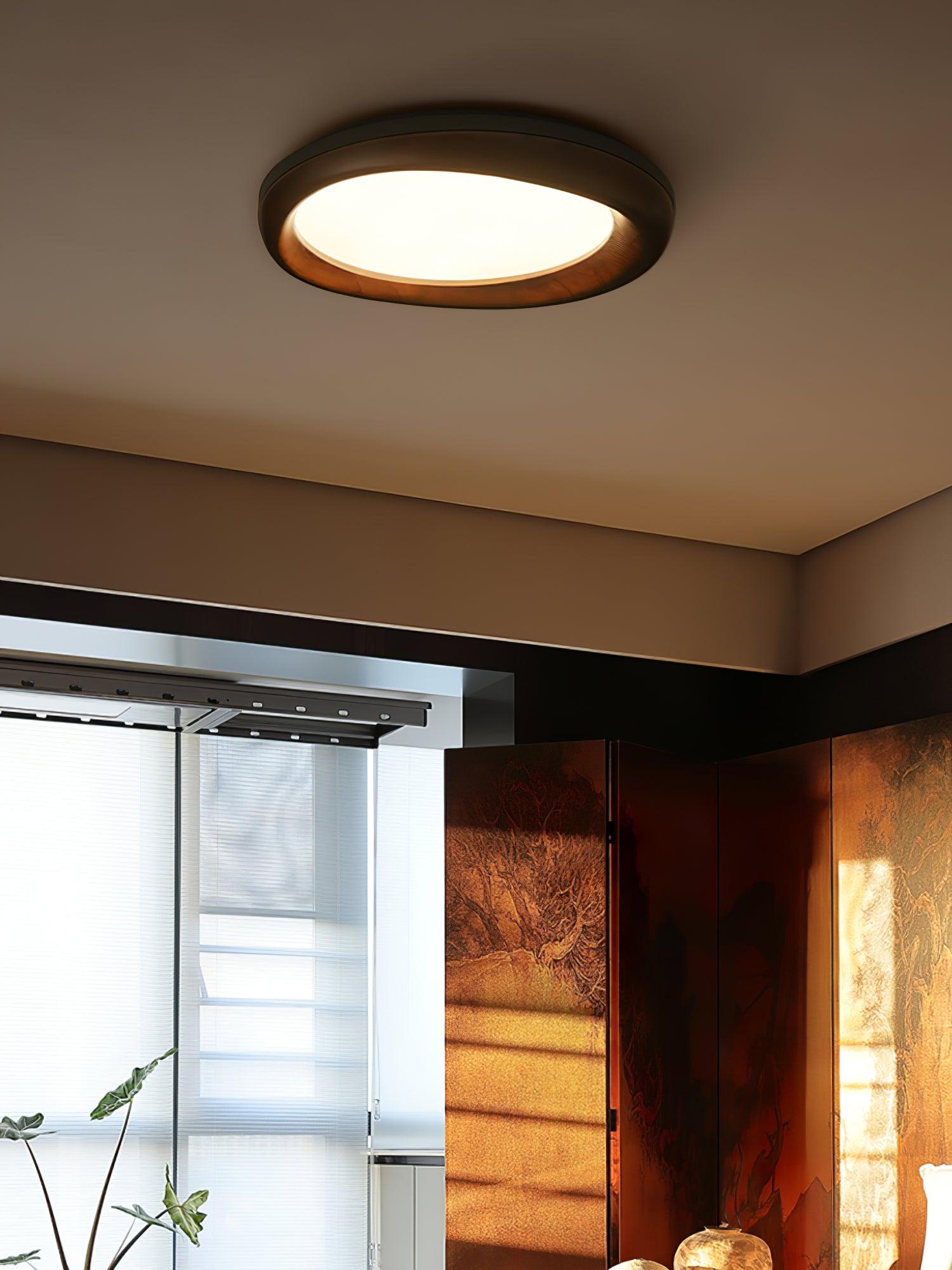 Dome_Ceiling_Light_13
