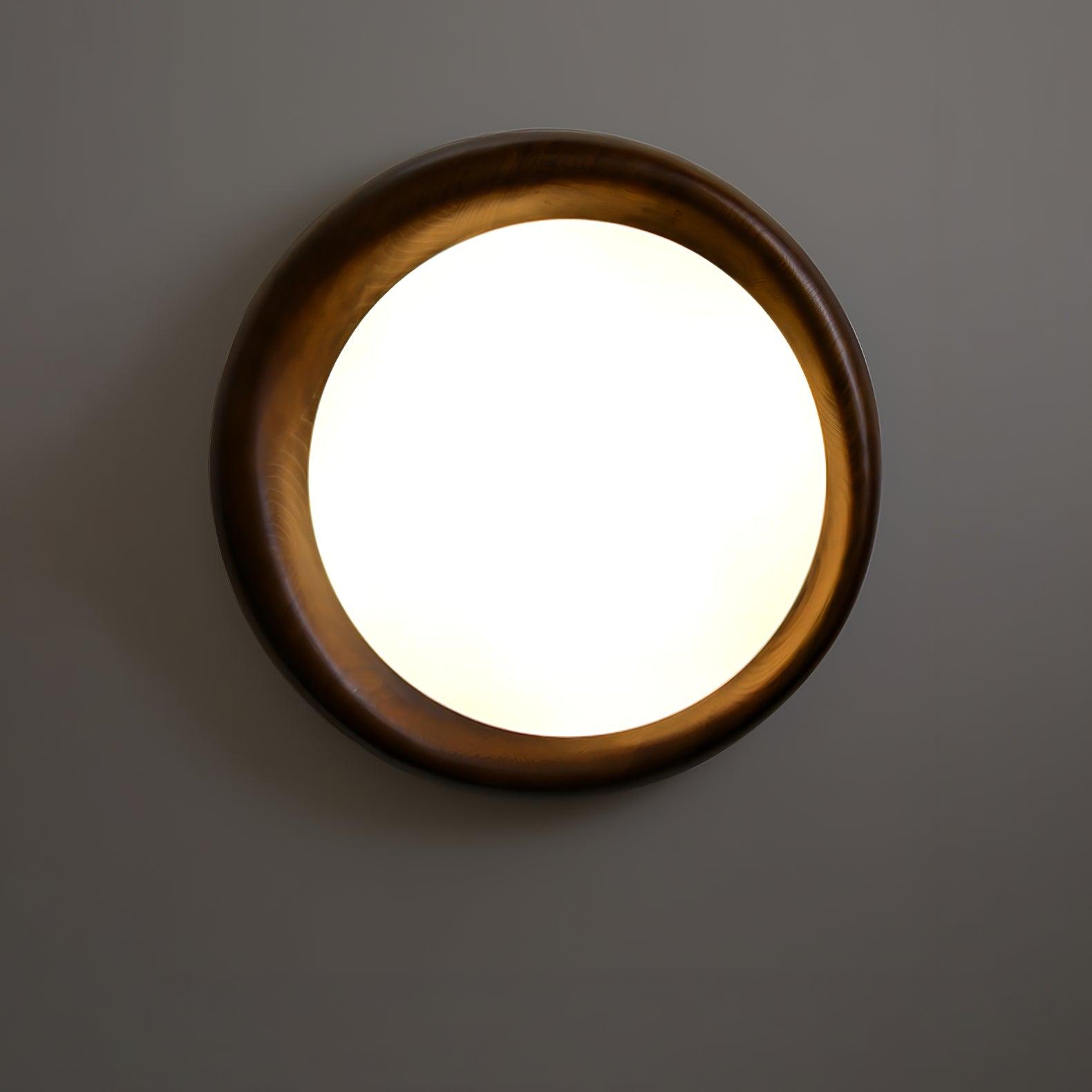 Dome_Ceiling_Light_14