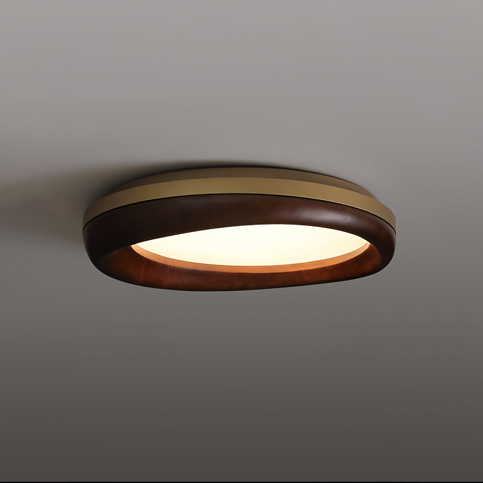 Dome_Ceiling_Light_15