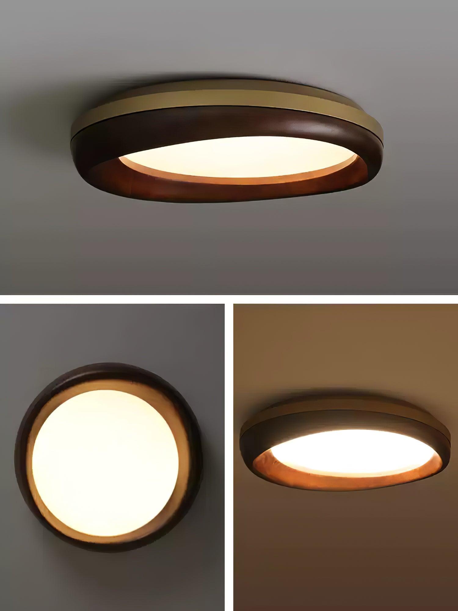 Dome_Ceiling_Light_17