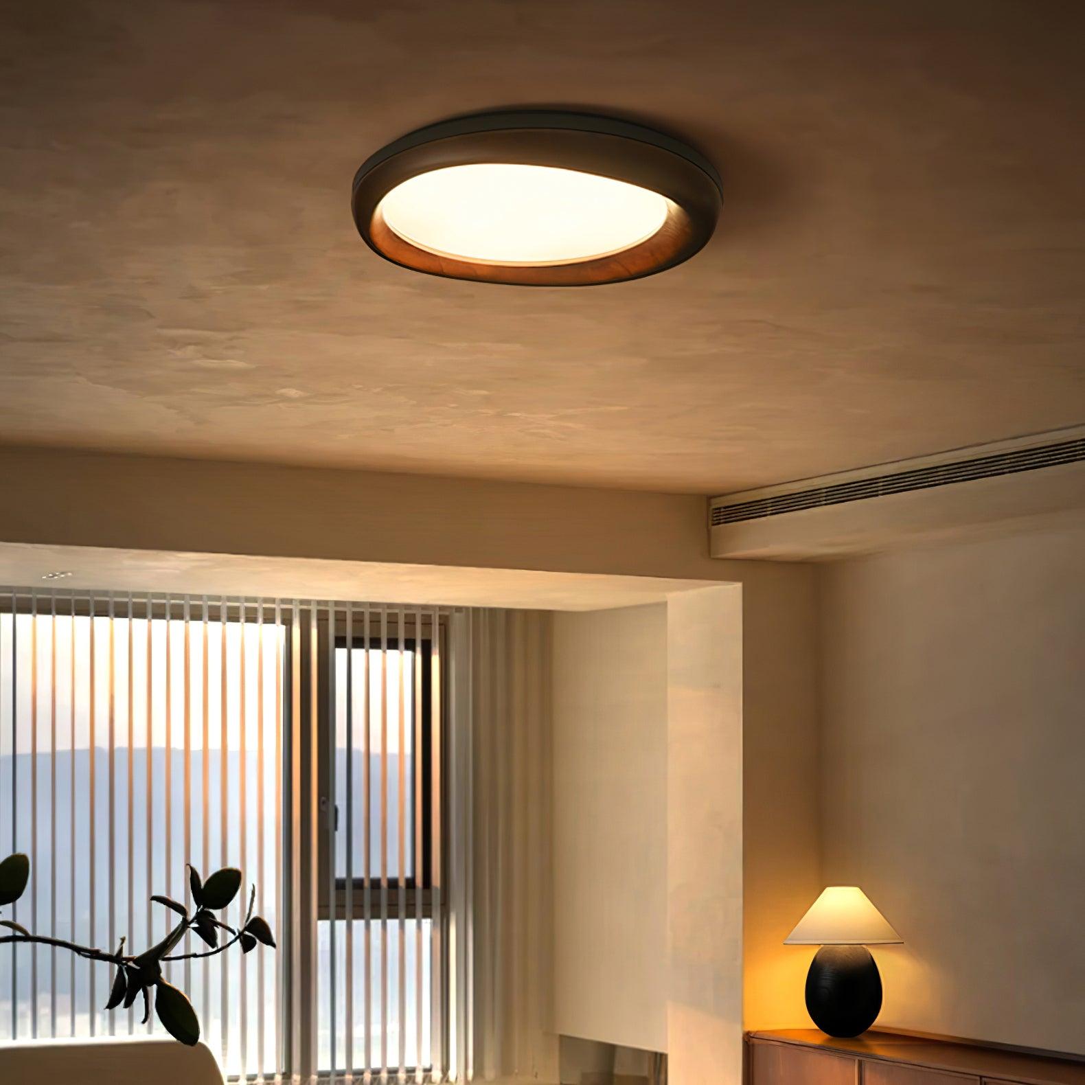 Dome_Ceiling_Light_18