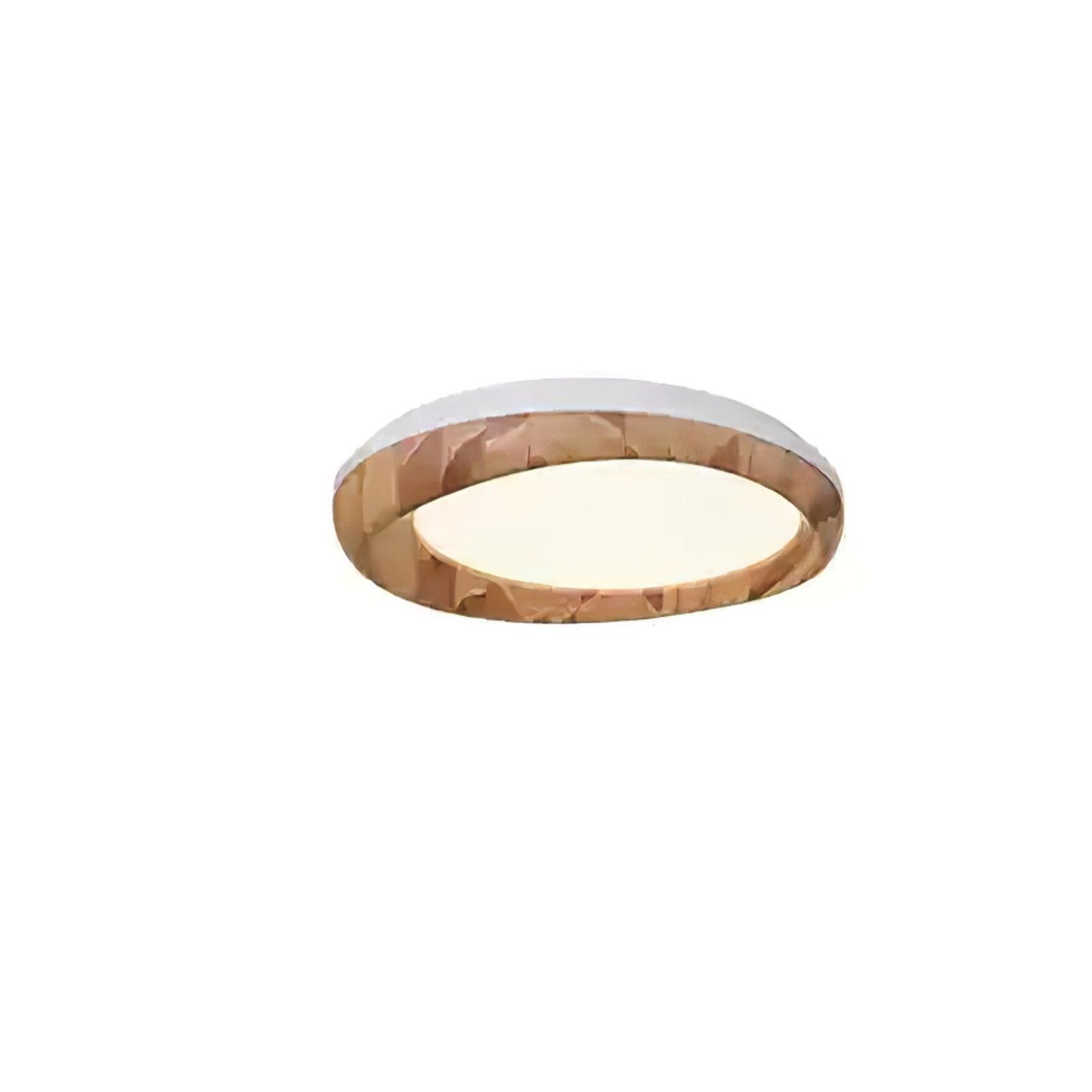 Dome_Ceiling_Light_24
