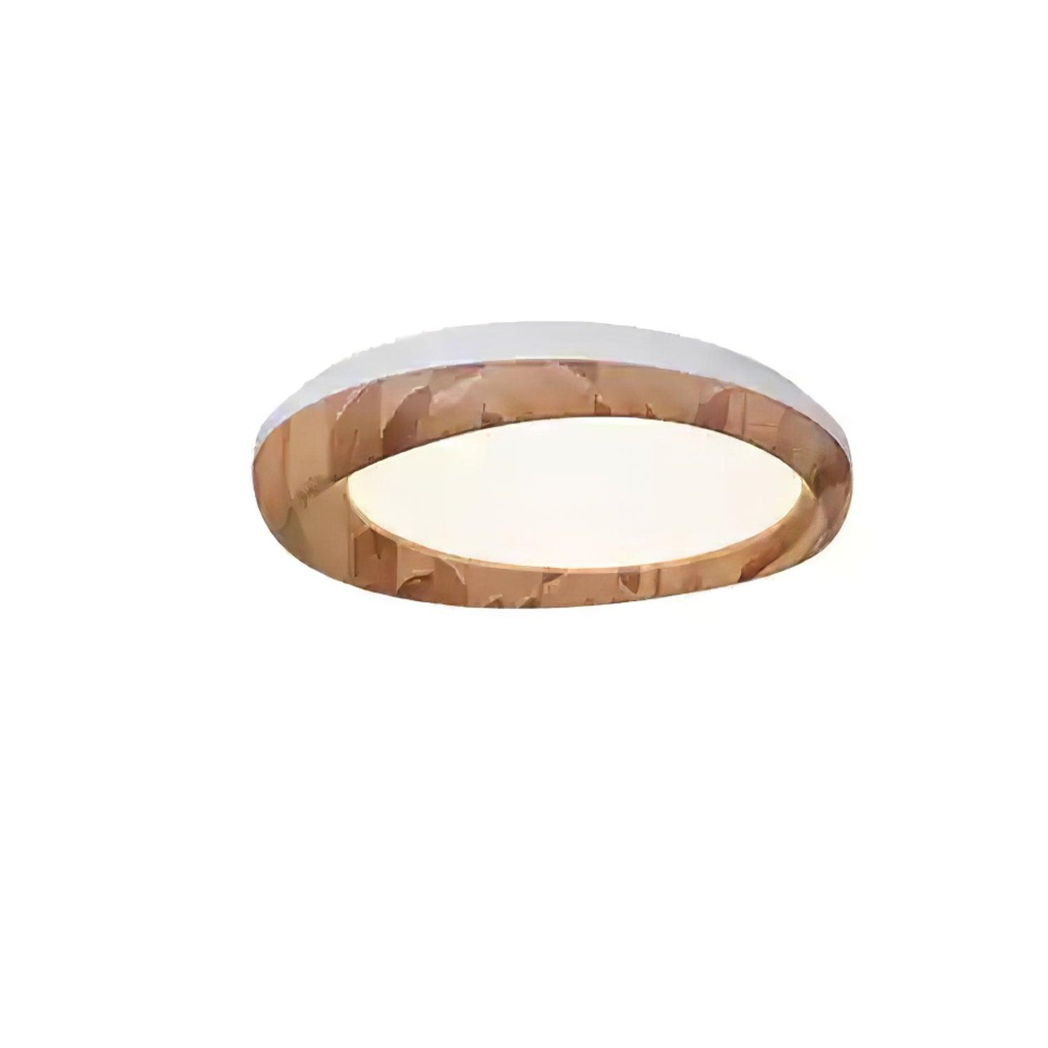 Dome_Ceiling_Light_25