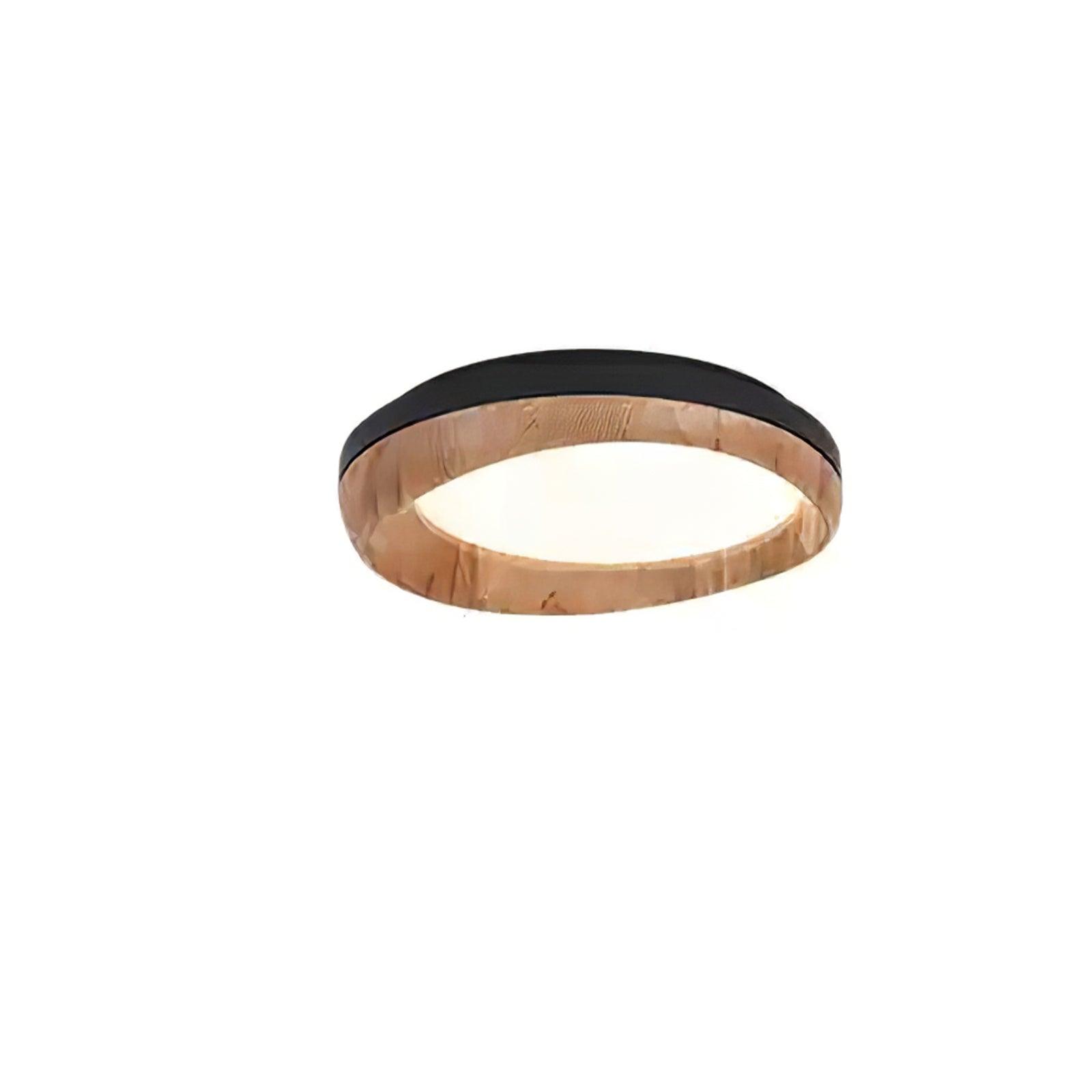 Dome_Ceiling_Light_26