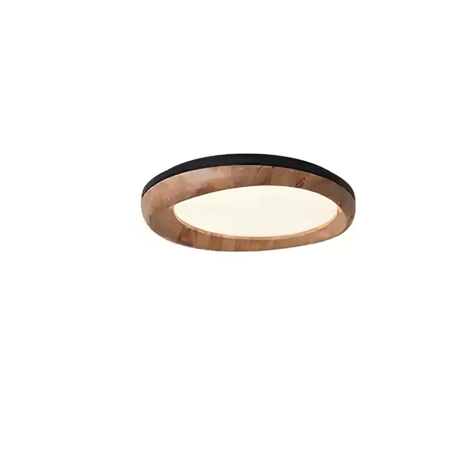 Dome_Ceiling_Light_28