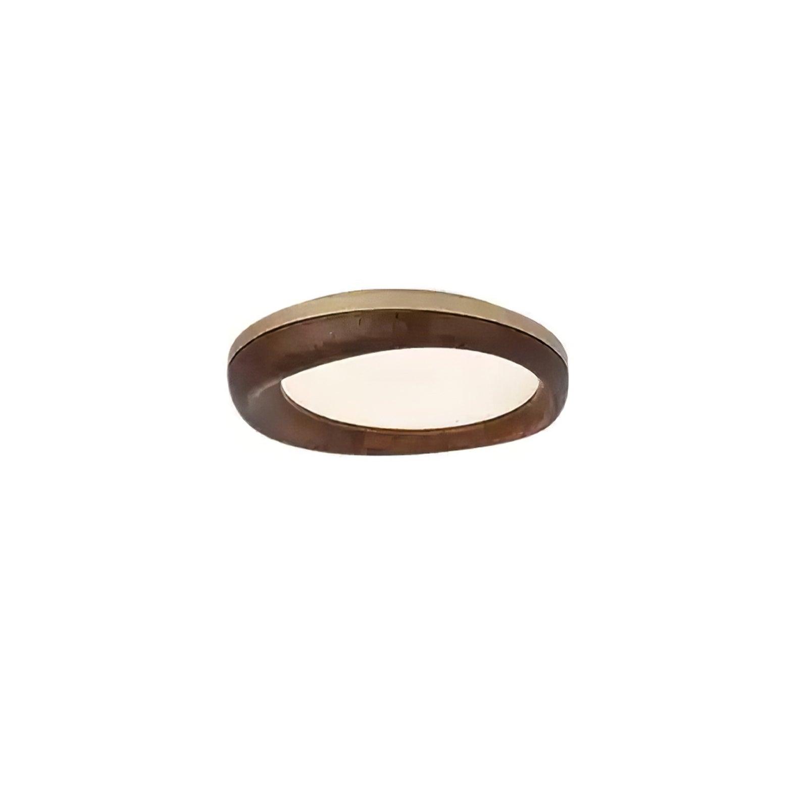 Dome_Ceiling_Light_29
