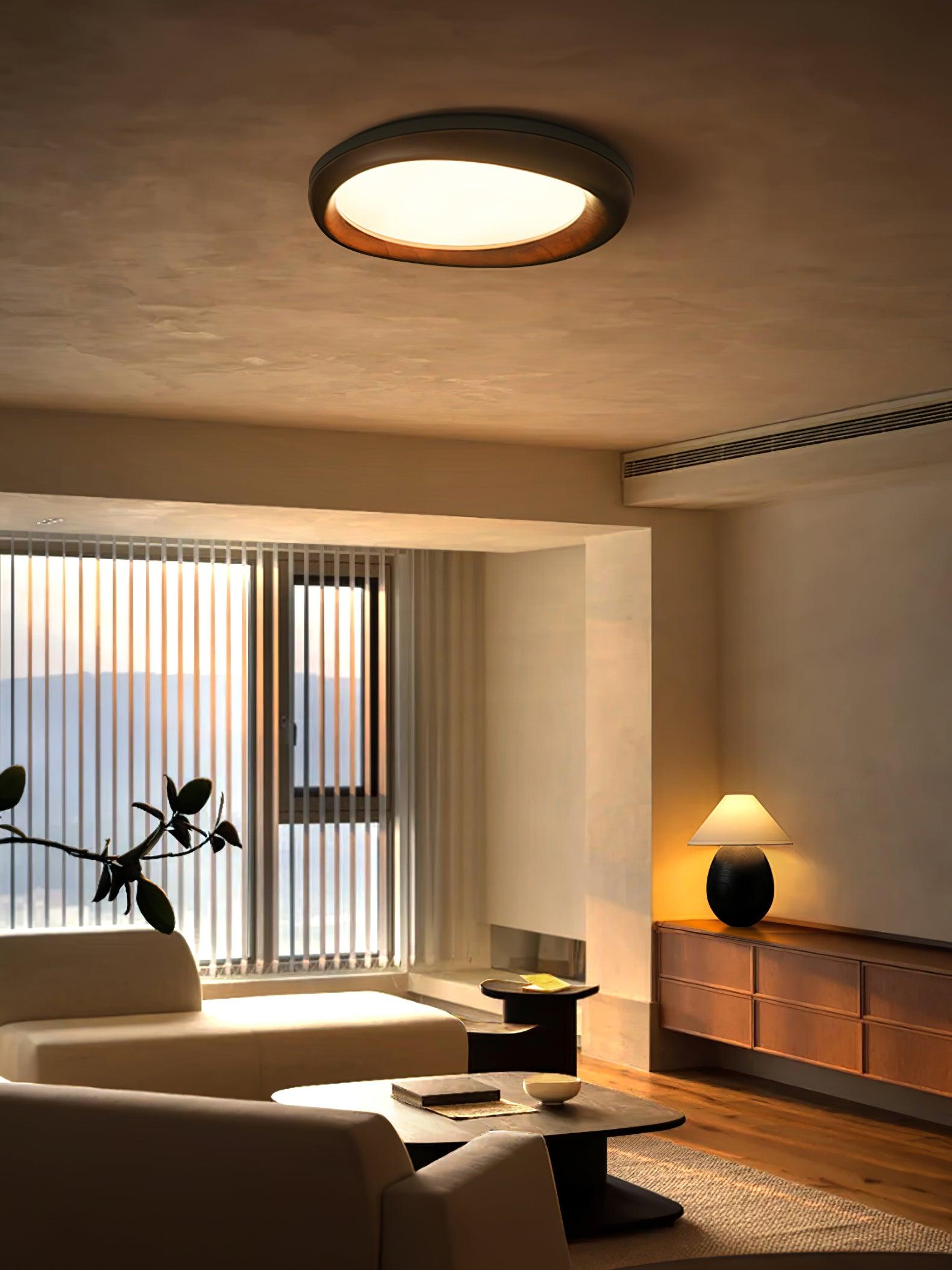 Dome_Ceiling_Light_3