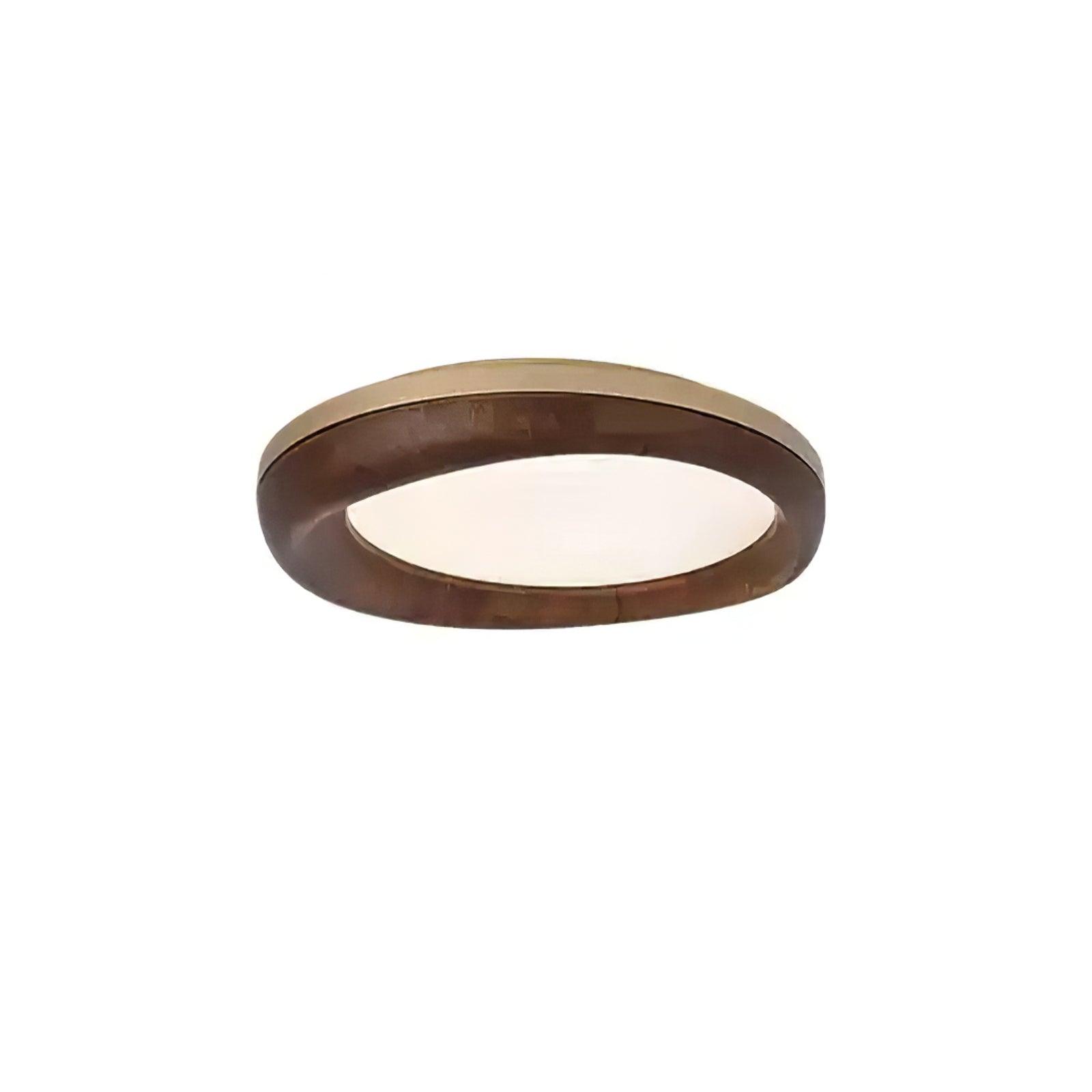 Dome_Ceiling_Light_30