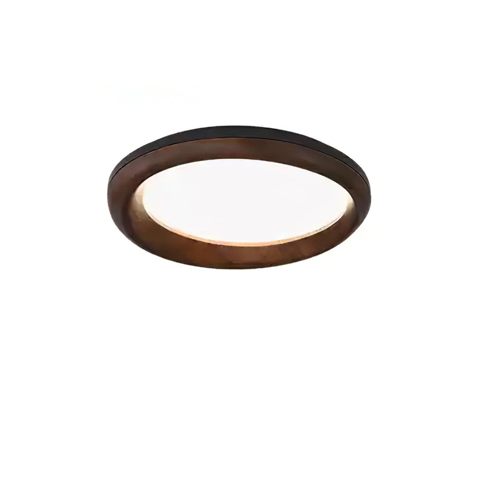 Dome_Ceiling_Light_33