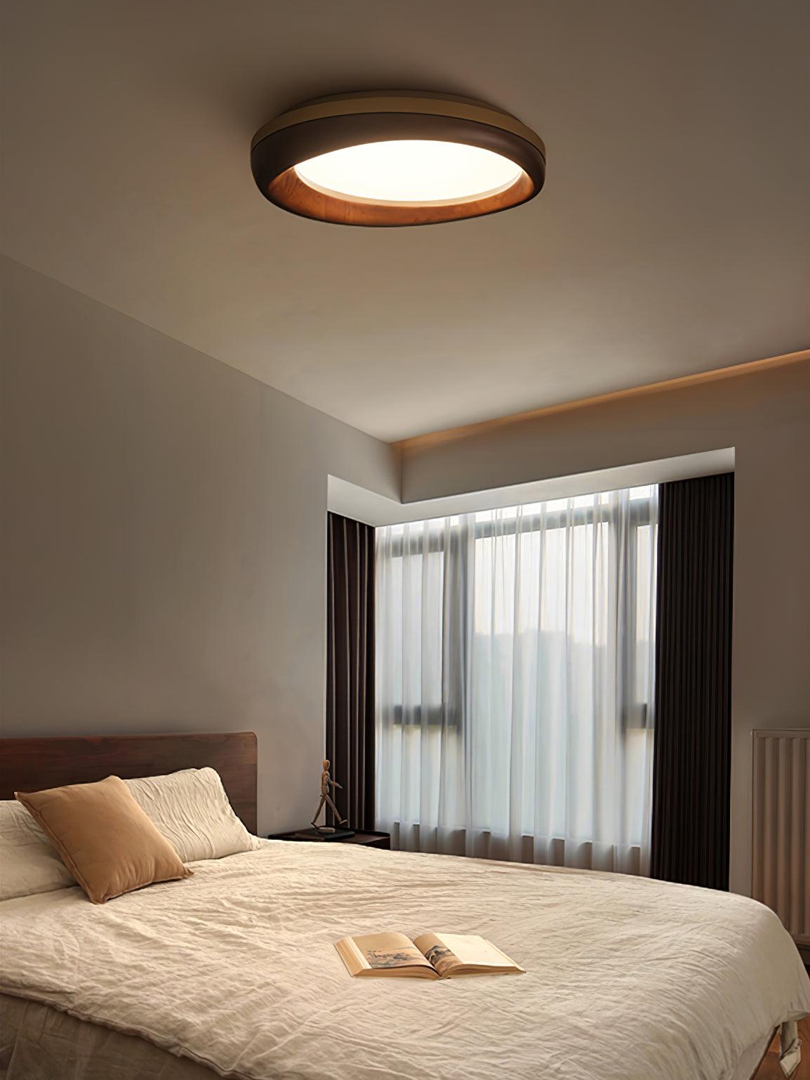 Dome_Ceiling_Light_5