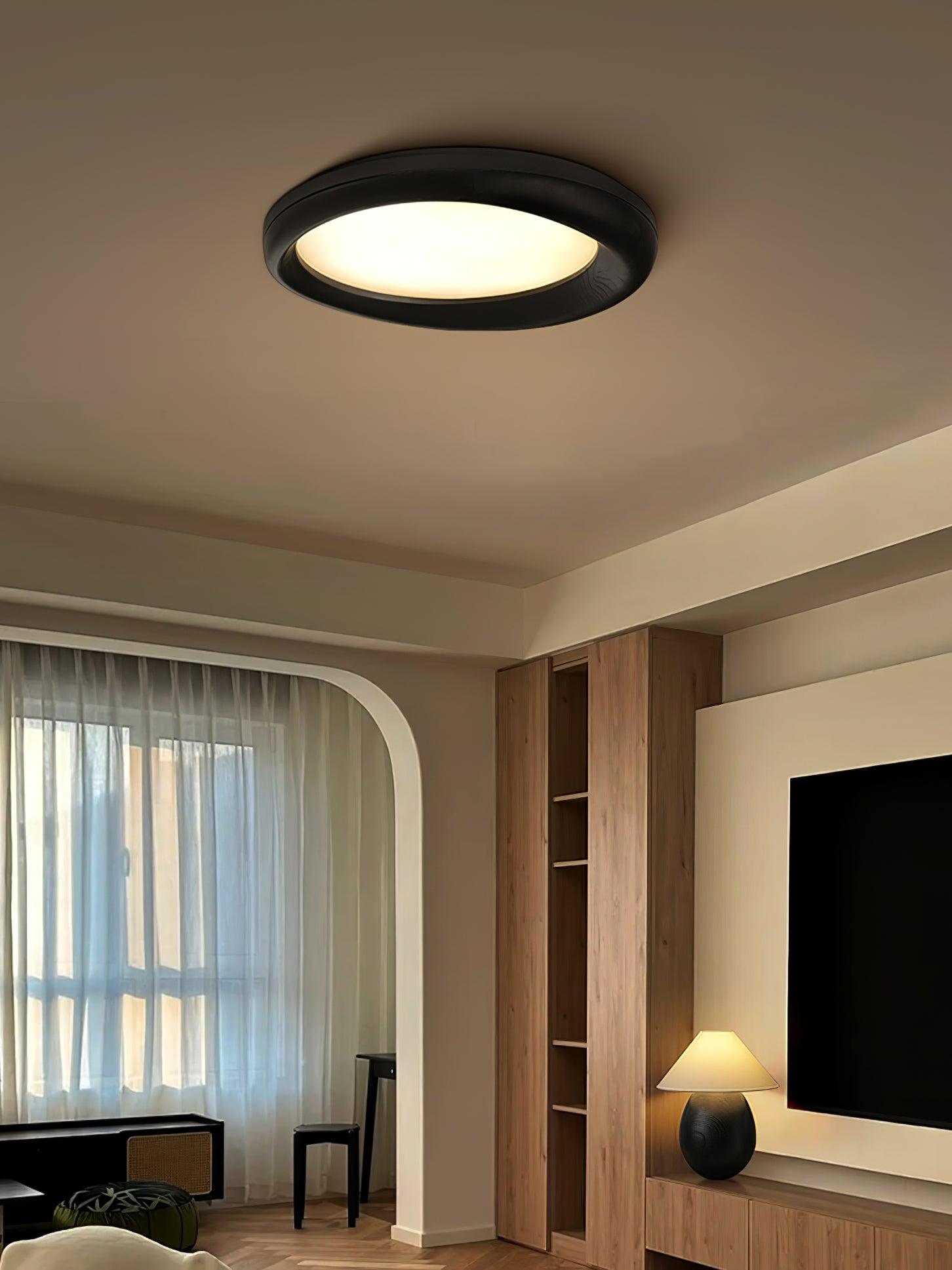 Dome_Ceiling_Light_7