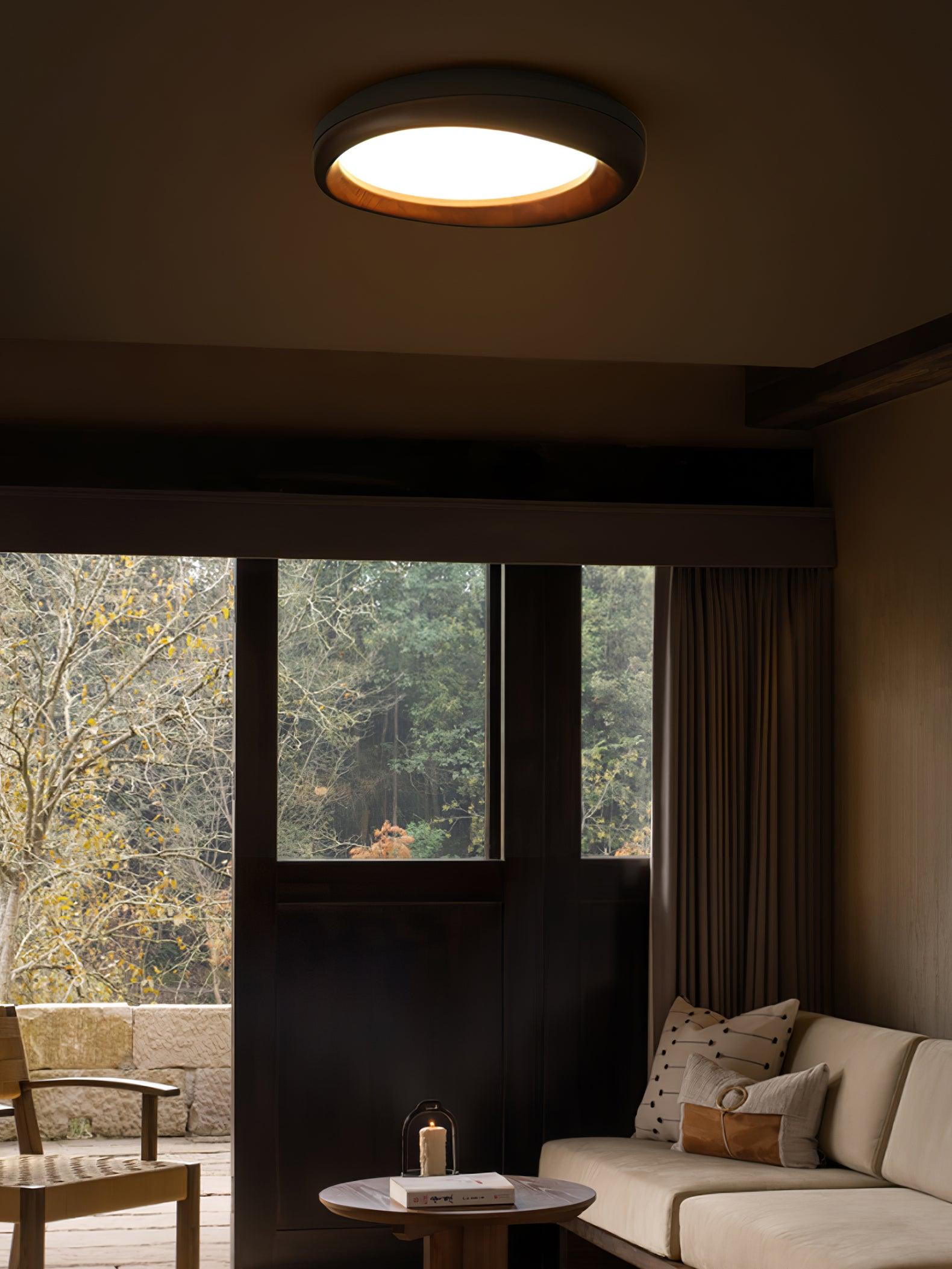 Dome_Ceiling_Light_9