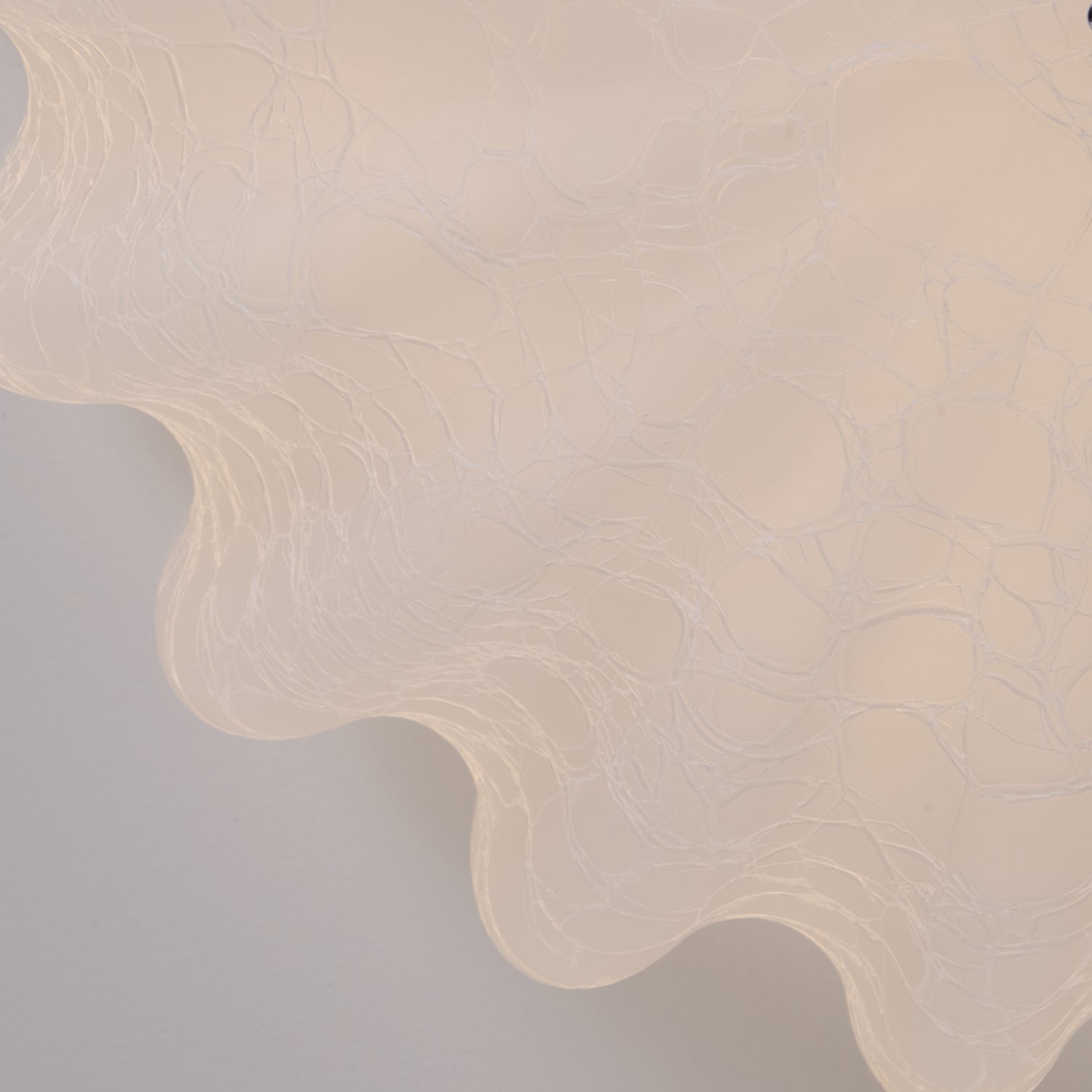 Flowers_Curse_Ceiling_Light._11
