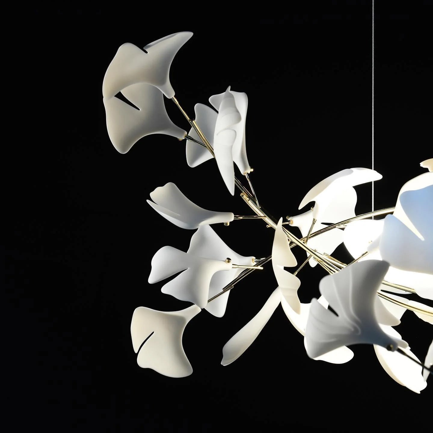 Gingko_Chandelier_U__35