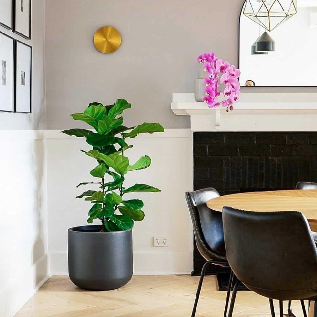 Gossa_Sconce_15