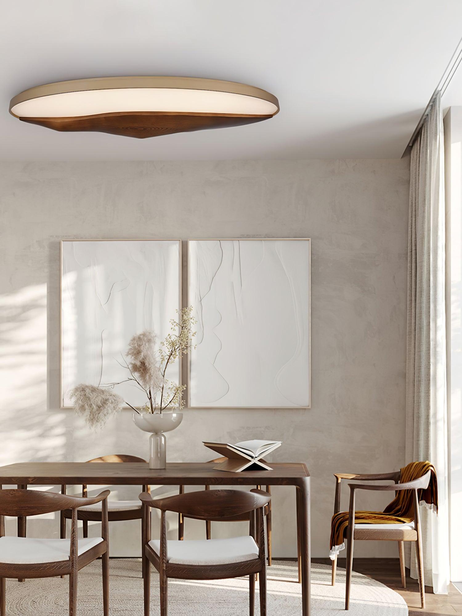 Half-Mountain_Ceiling_Lamp_11
