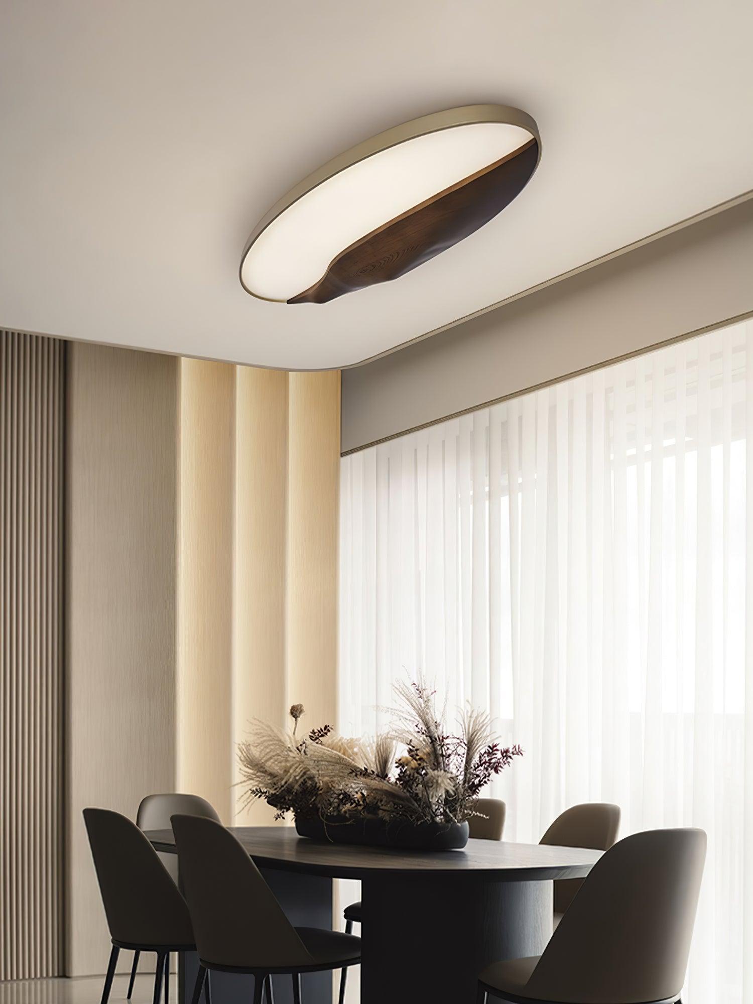 Half-Mountain_Ceiling_Lamp_14