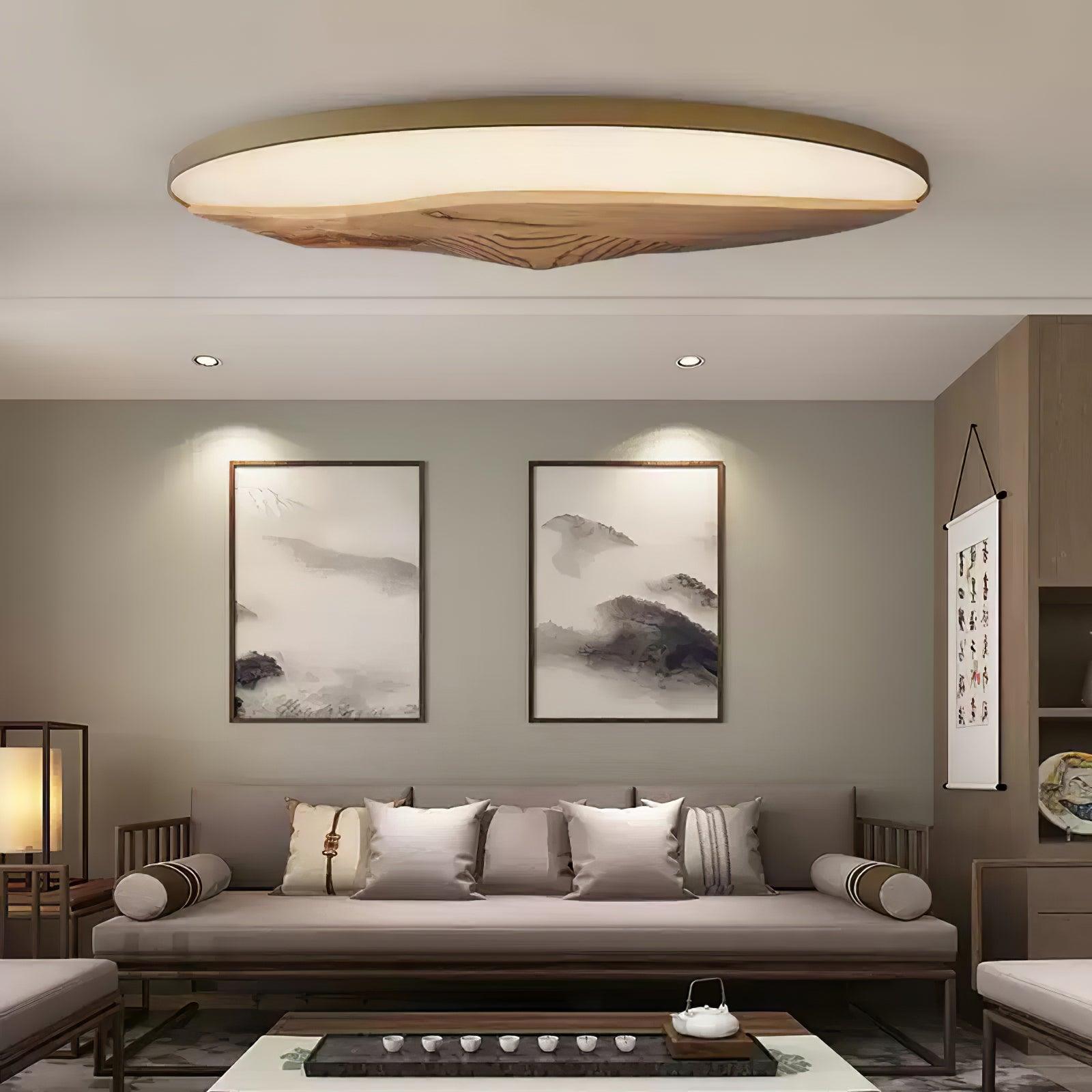 Half-Mountain_Ceiling_Lamp_15