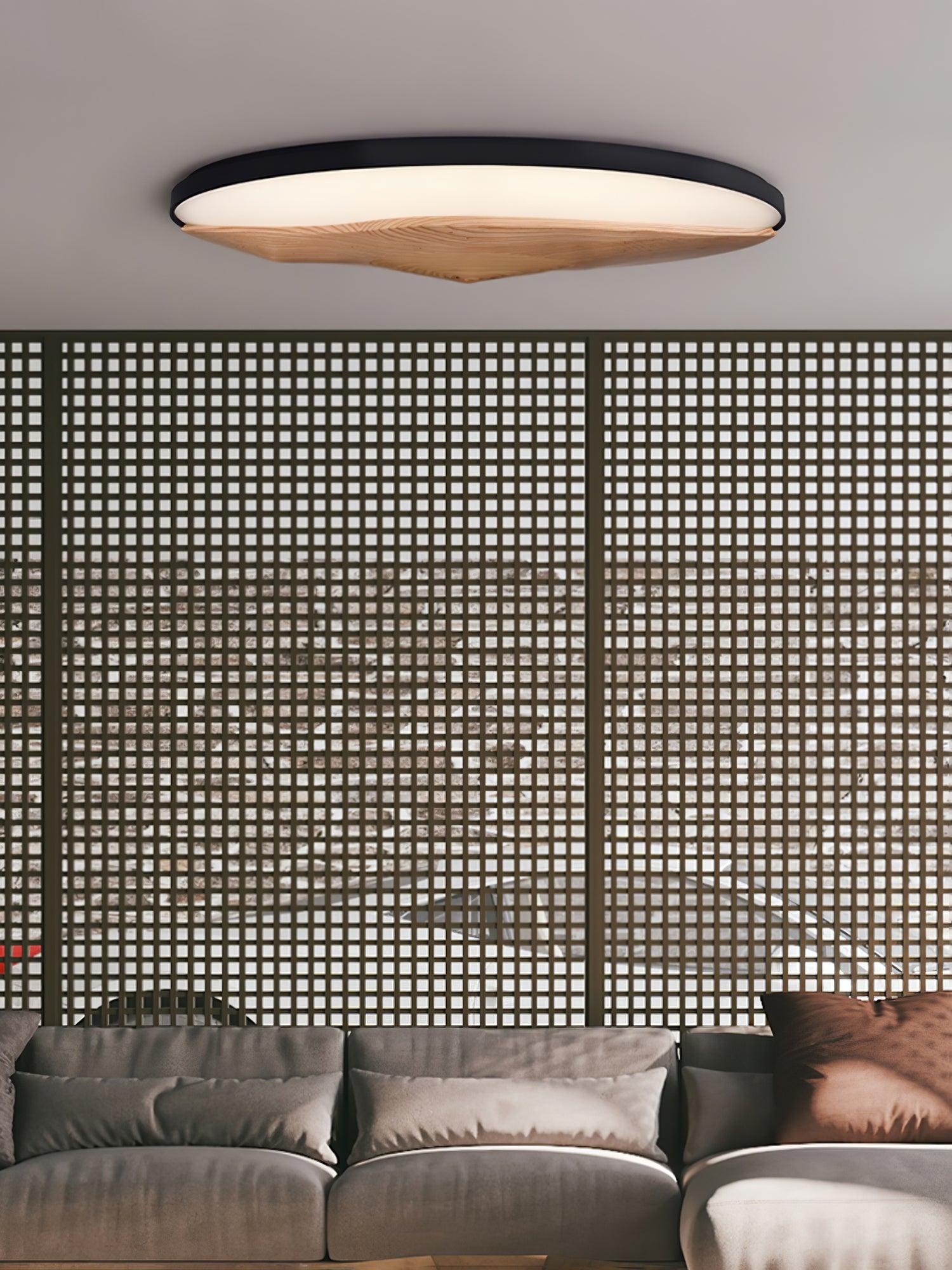 Half-Mountain_Ceiling_Lamp_16