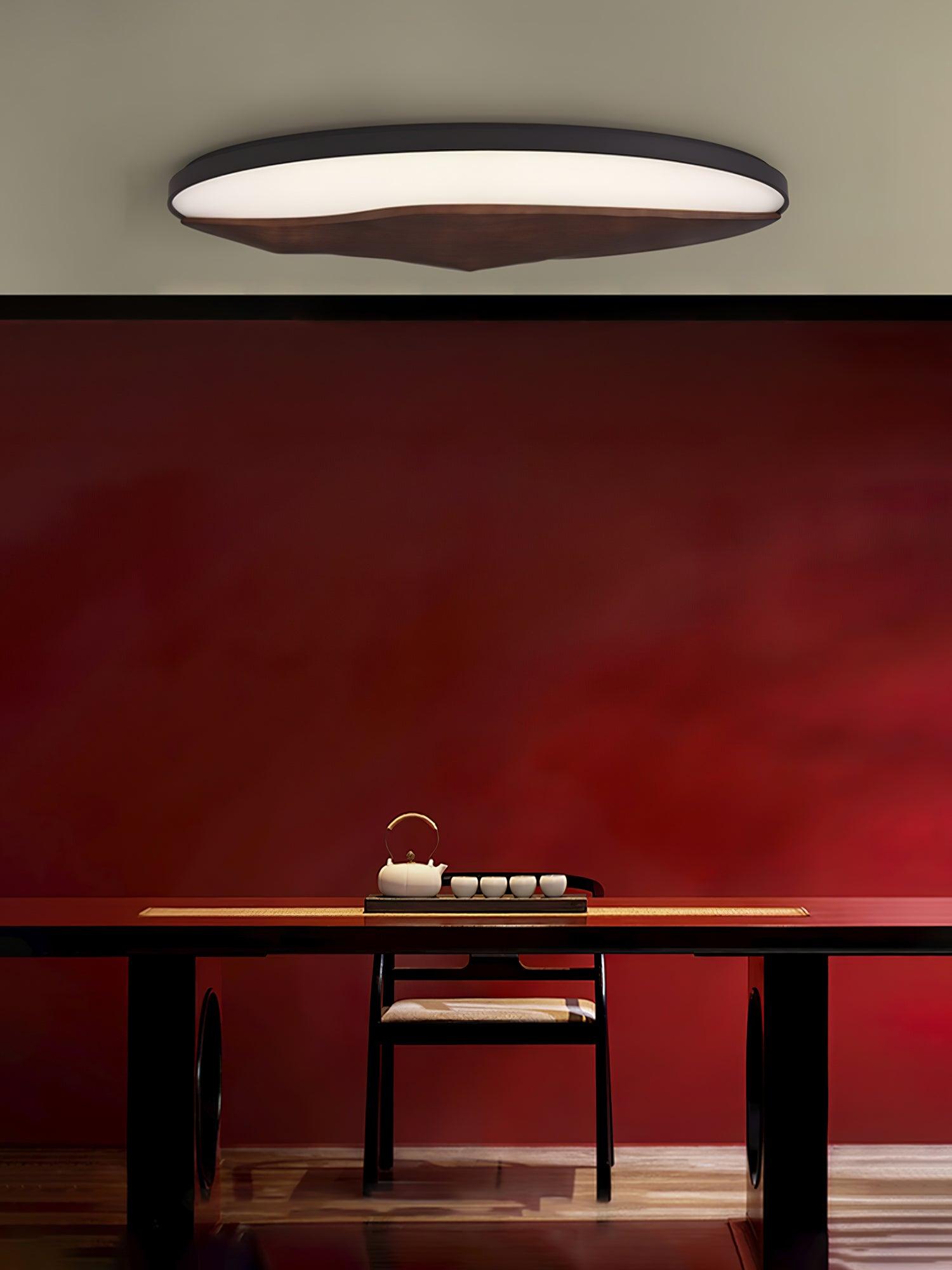 Half-Mountain_Ceiling_Lamp_2