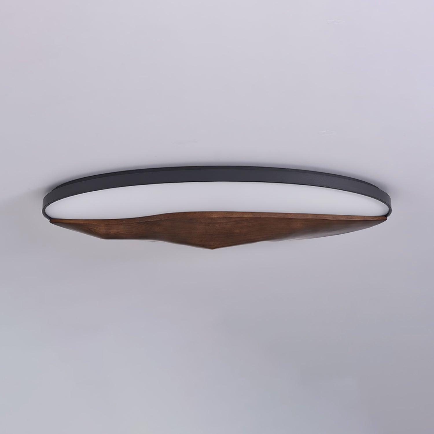 Half-Mountain_Ceiling_Lamp_21