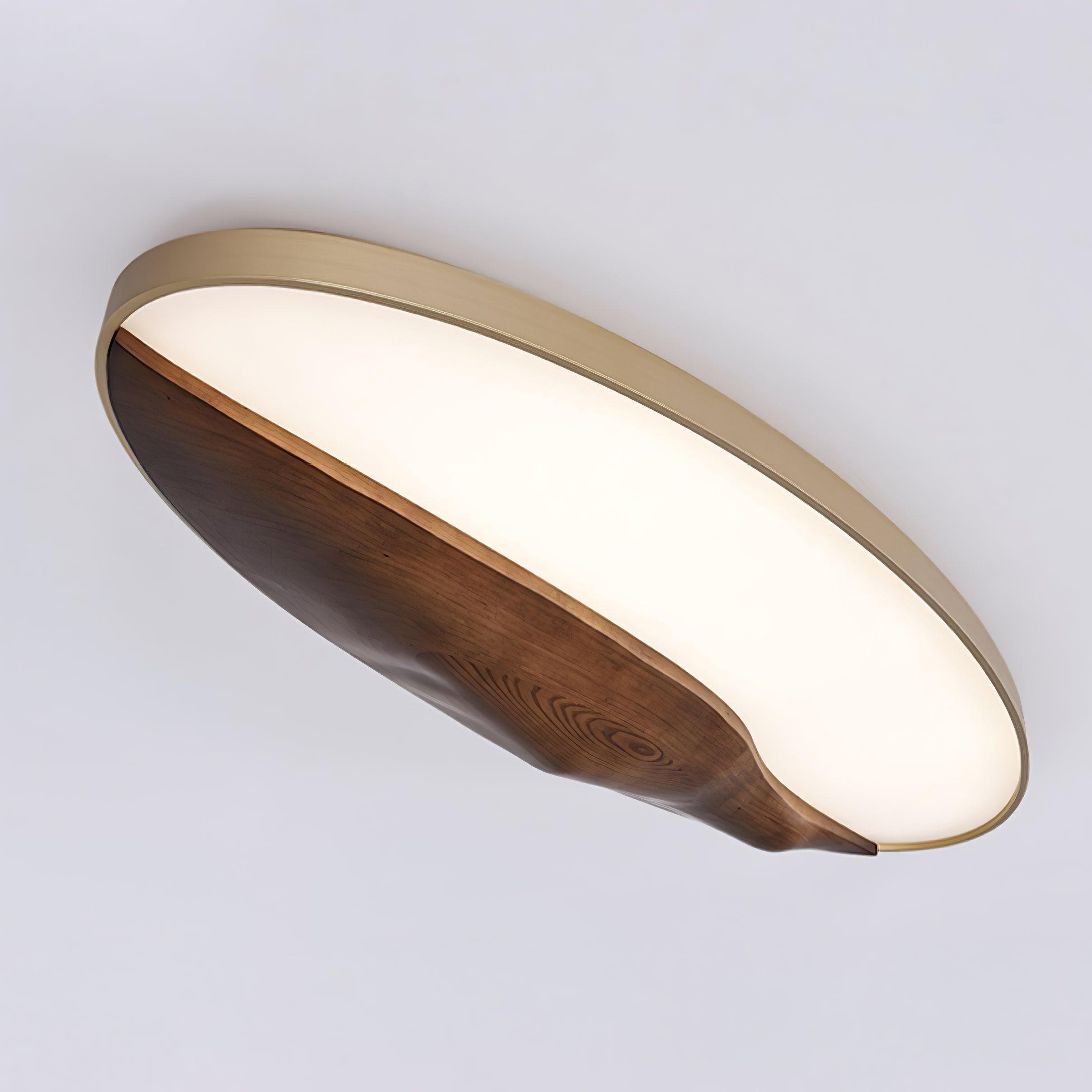 Half-Mountain_Ceiling_Lamp_22