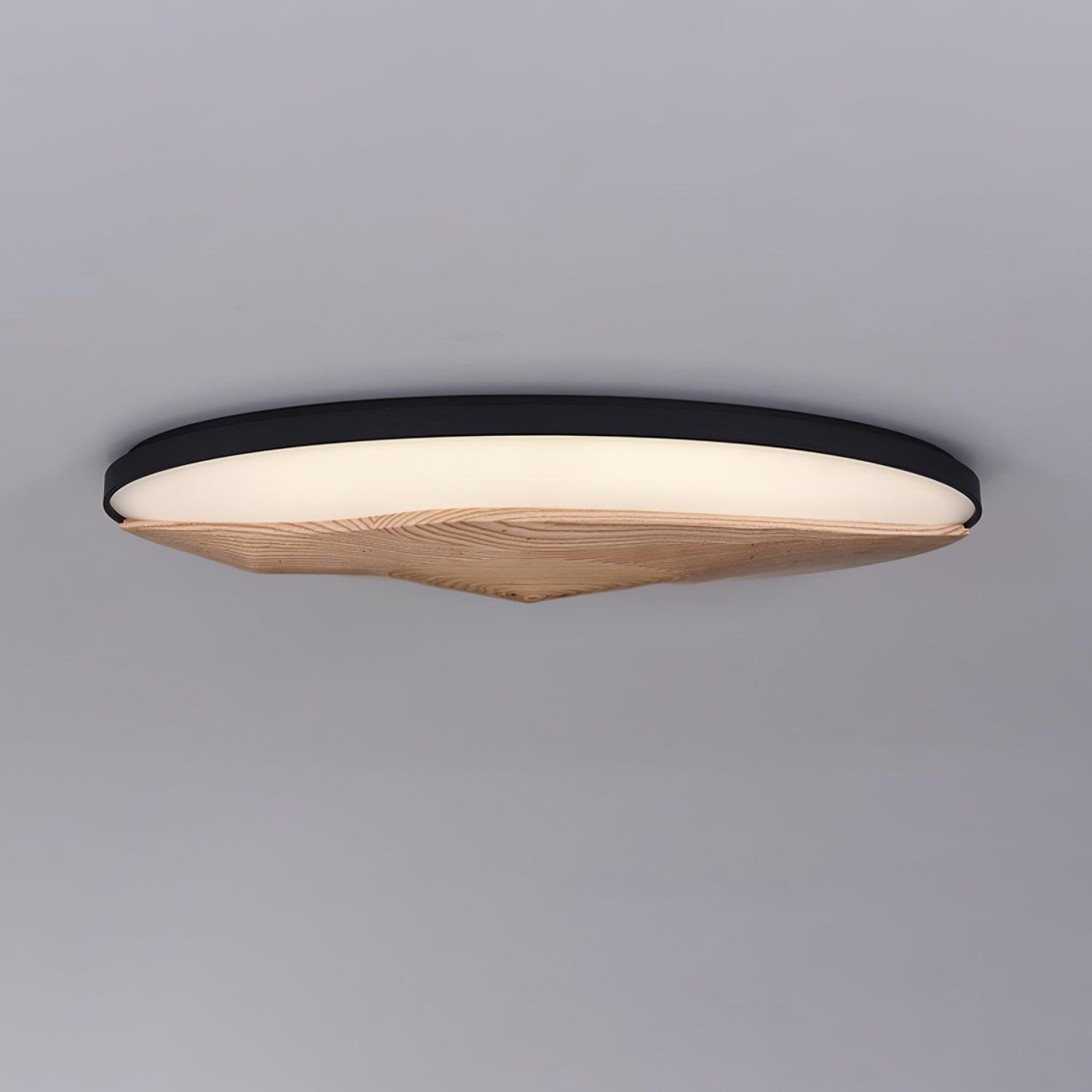 Half-Mountain_Ceiling_Lamp_23