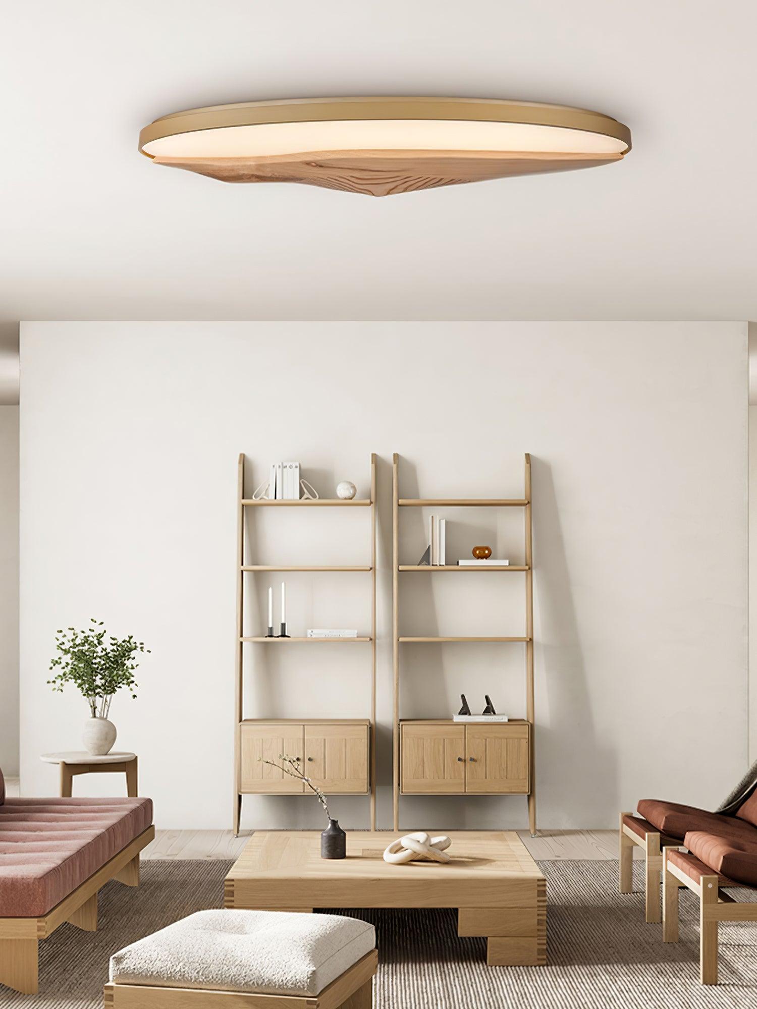 Half-Mountain_Ceiling_Lamp_3