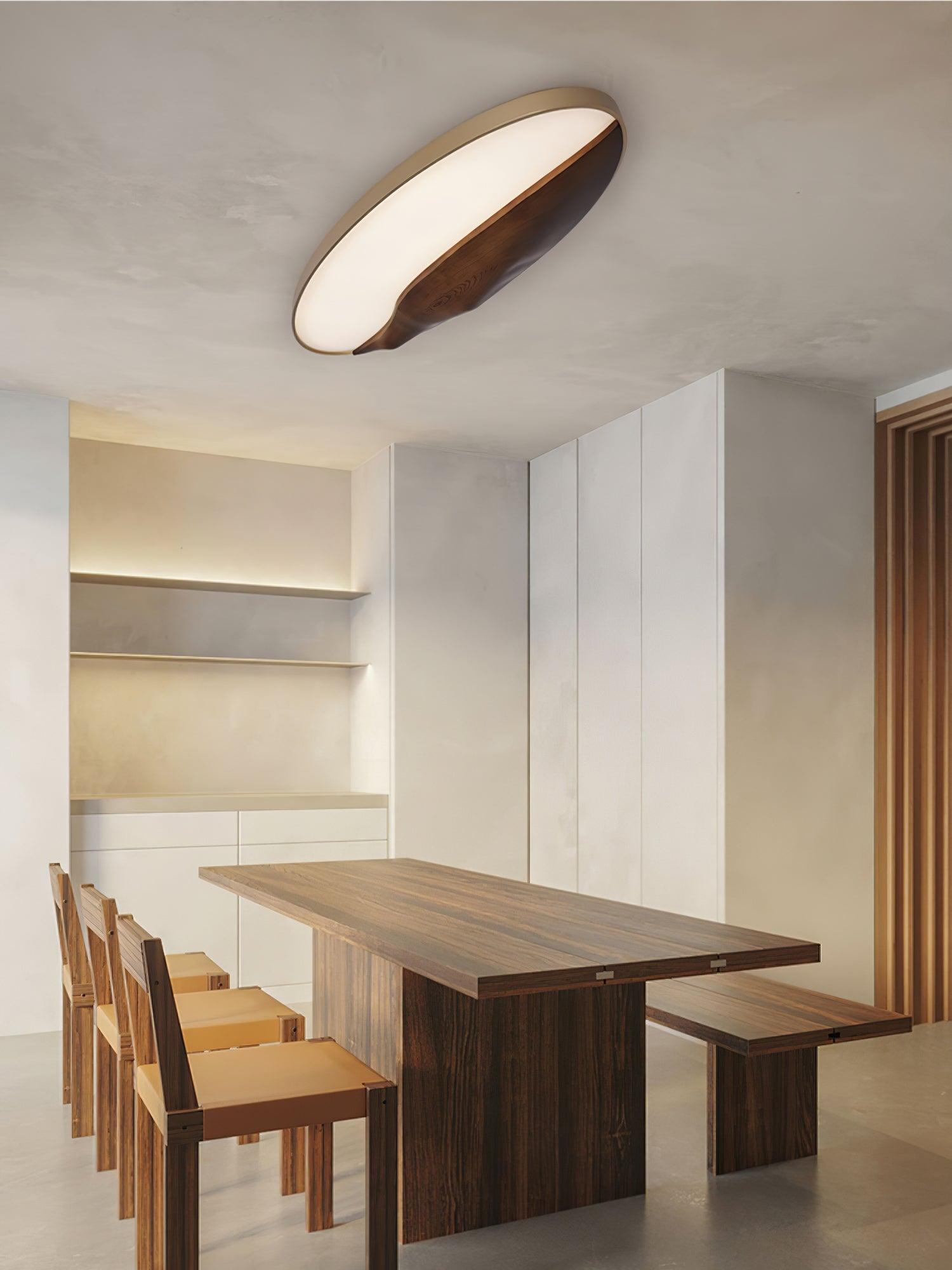 Half-Mountain_Ceiling_Lamp_4
