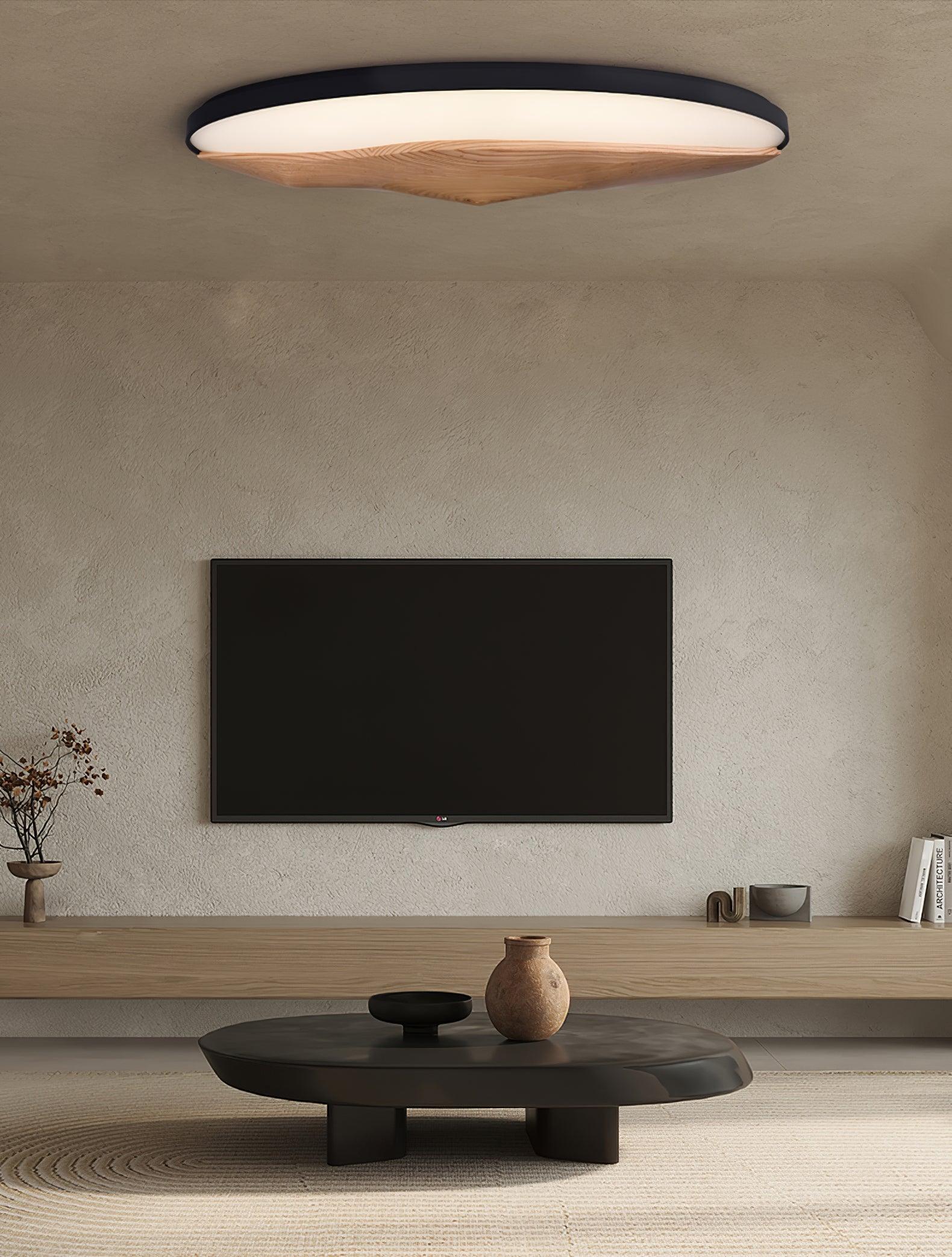 Half-Mountain_Ceiling_Lamp_5
