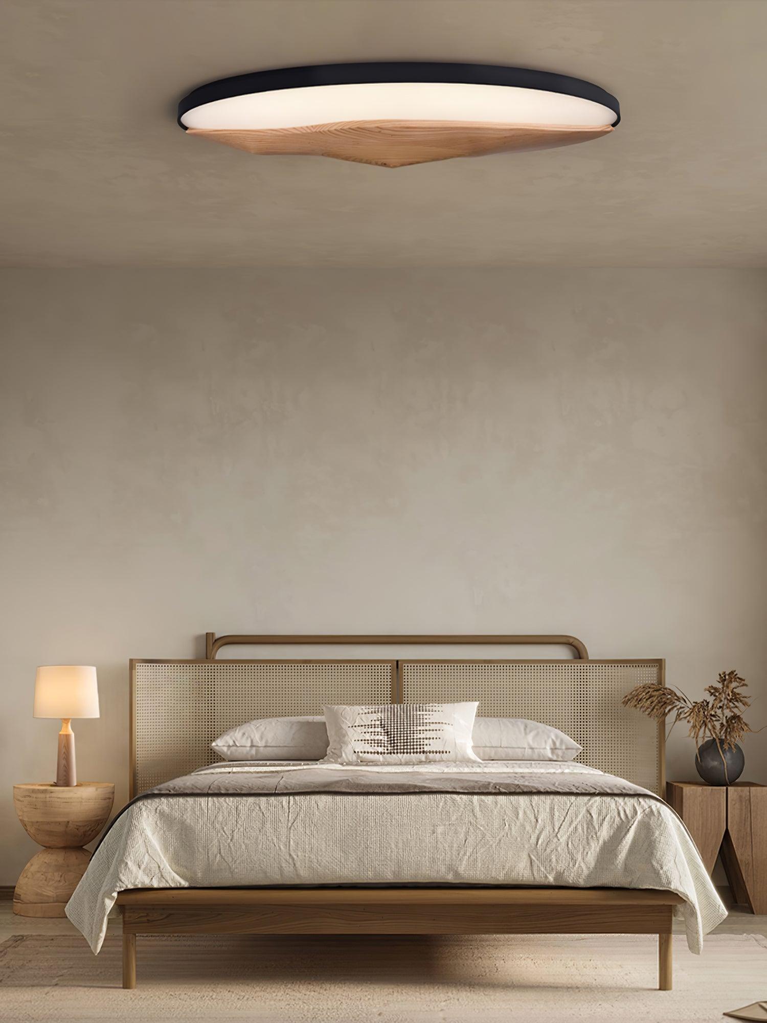 Half-Mountain_Ceiling_Lamp_6