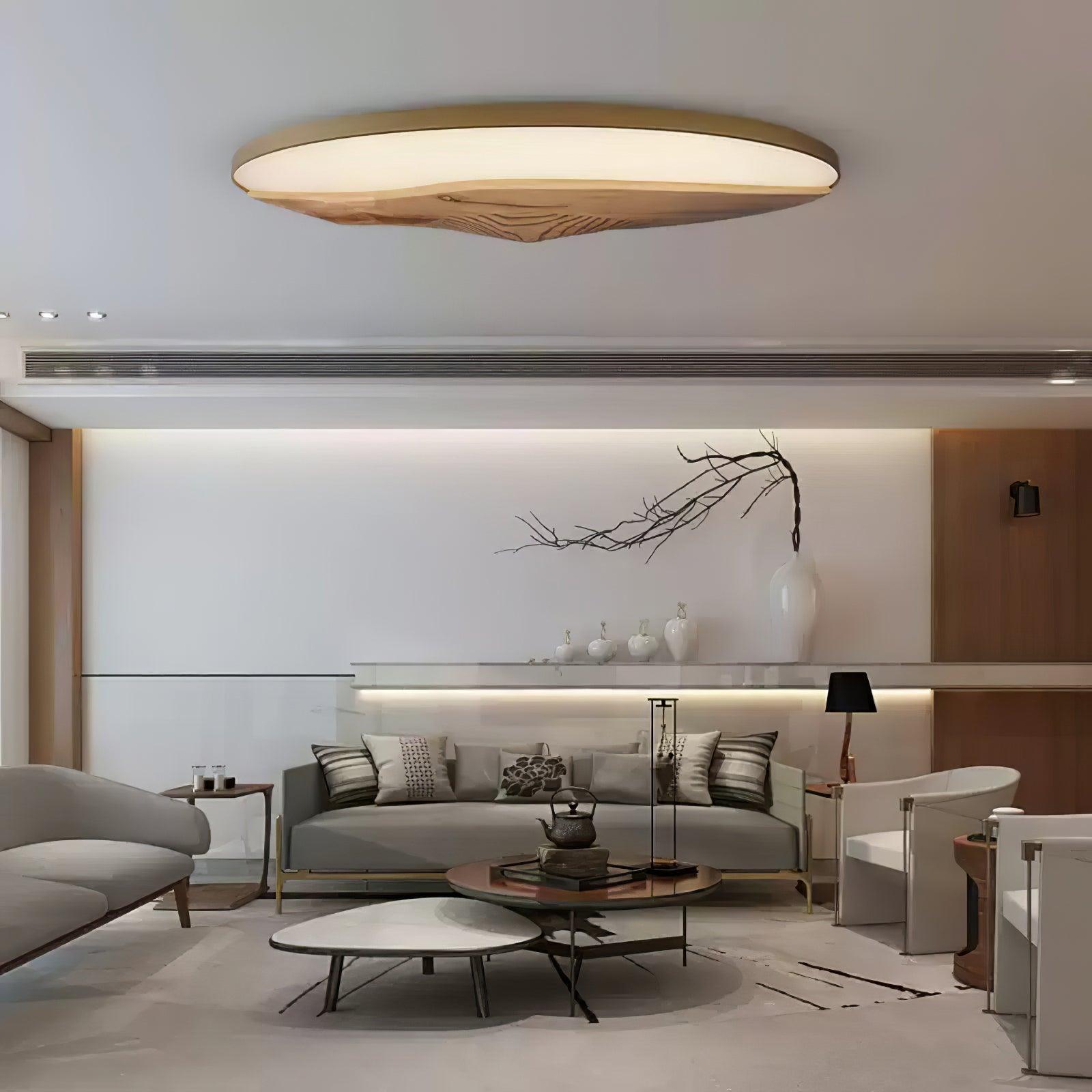Half-Mountain_Ceiling_Lamp_7
