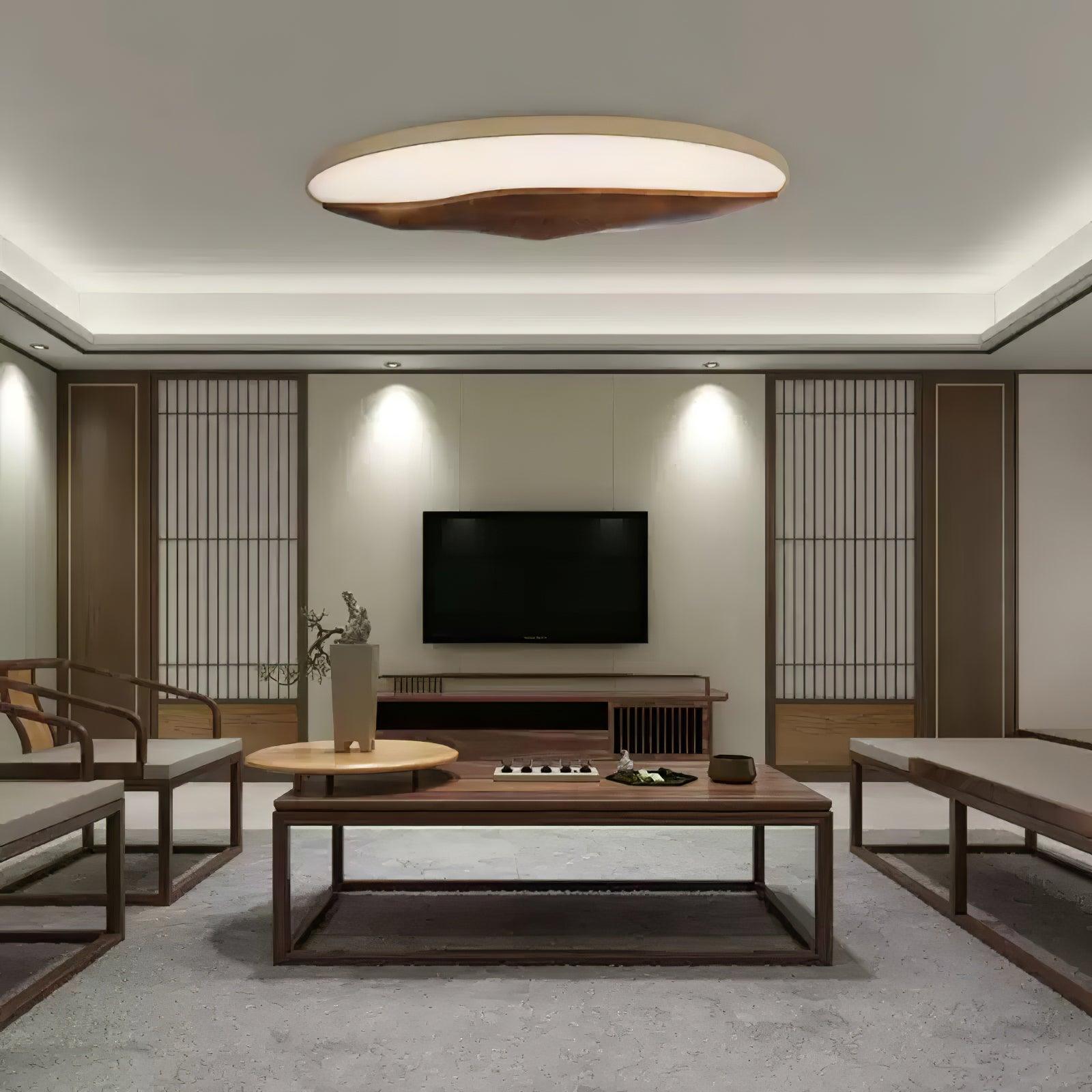 Half-Mountain_Ceiling_Lamp_8
