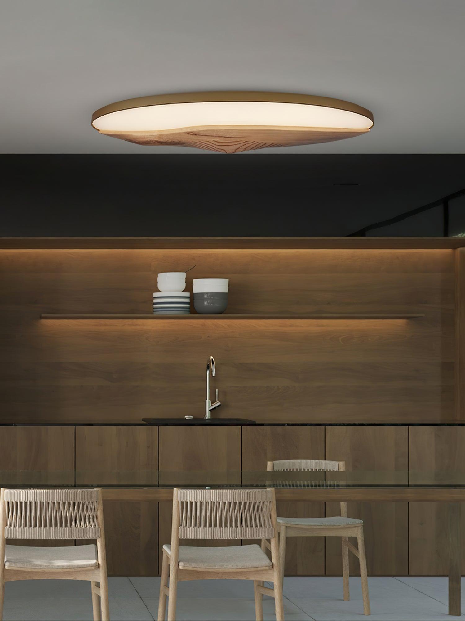 Half-Mountain_Ceiling_Lamp_9