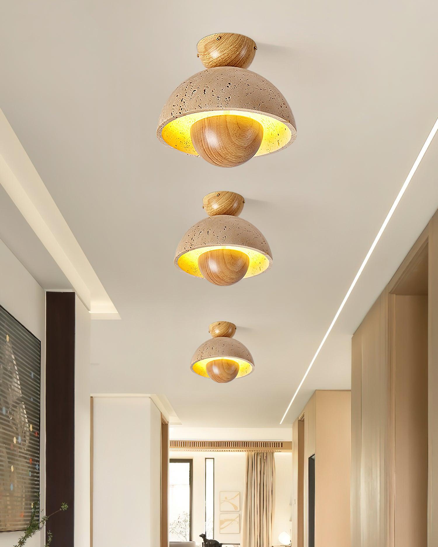 Inverted_Ceiling_Lamp_5