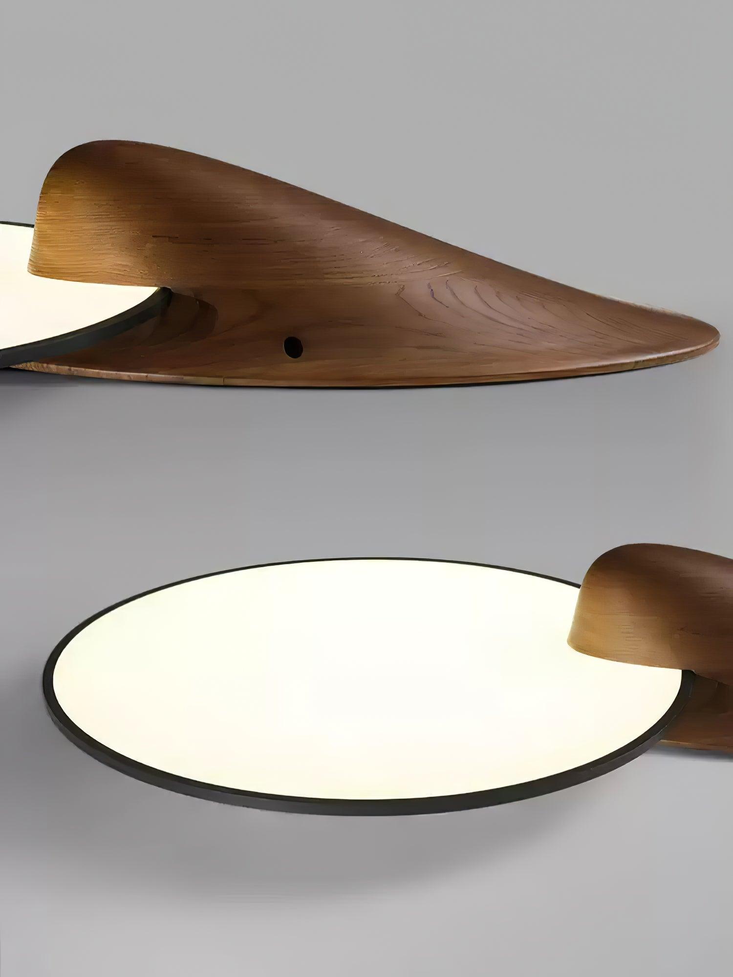 Lone_Peak-Ceiling_Lamp_6